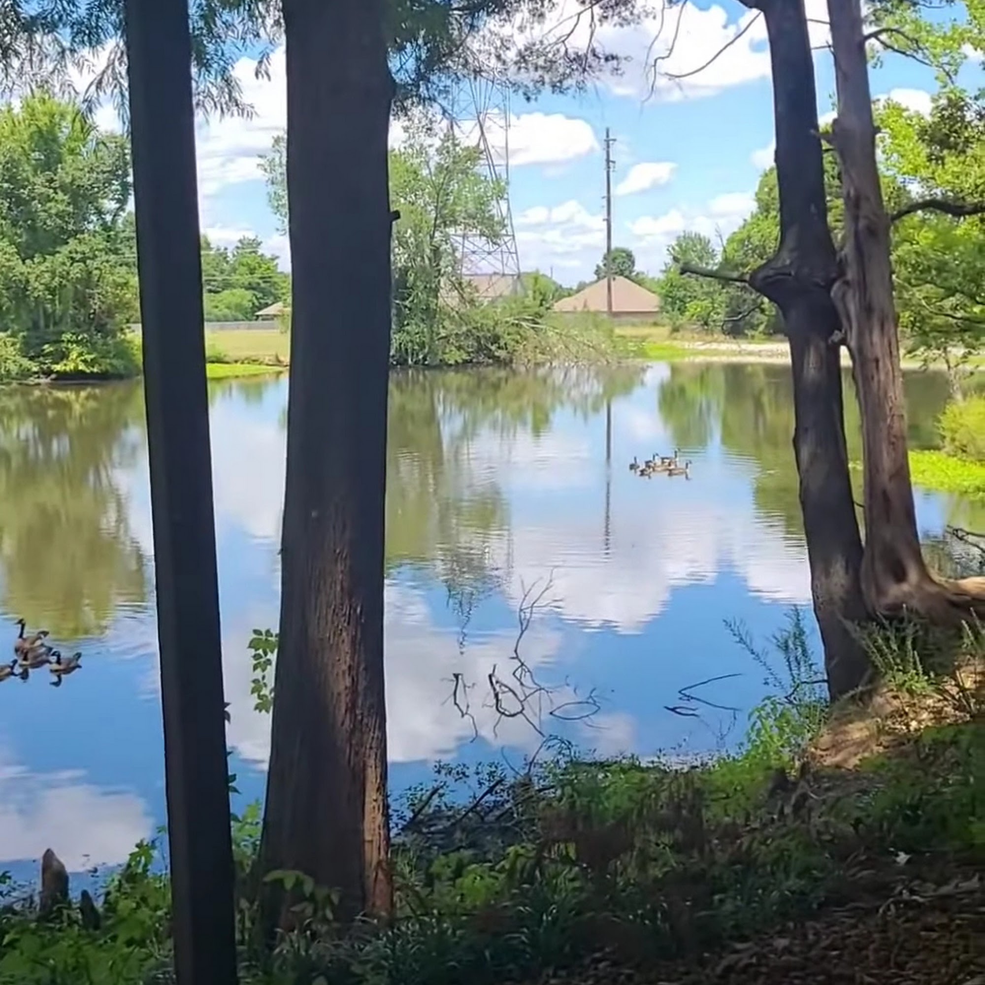 Brooksie's Barn Jackson