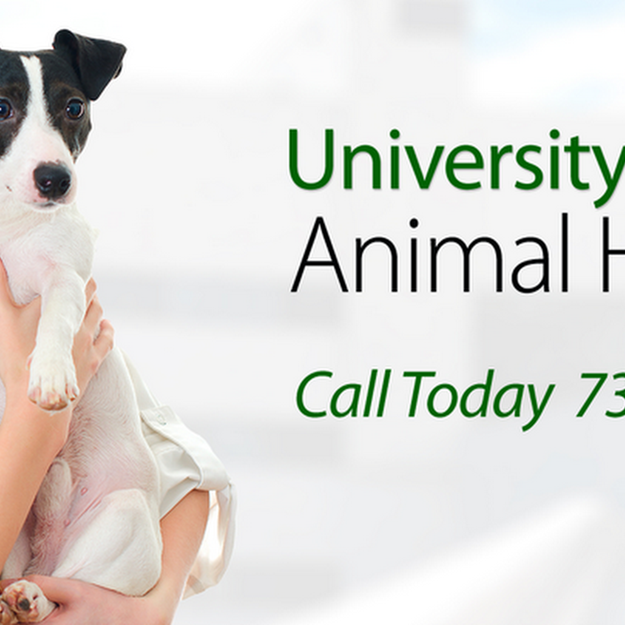 University Parkway Animal Hospital Jackson
