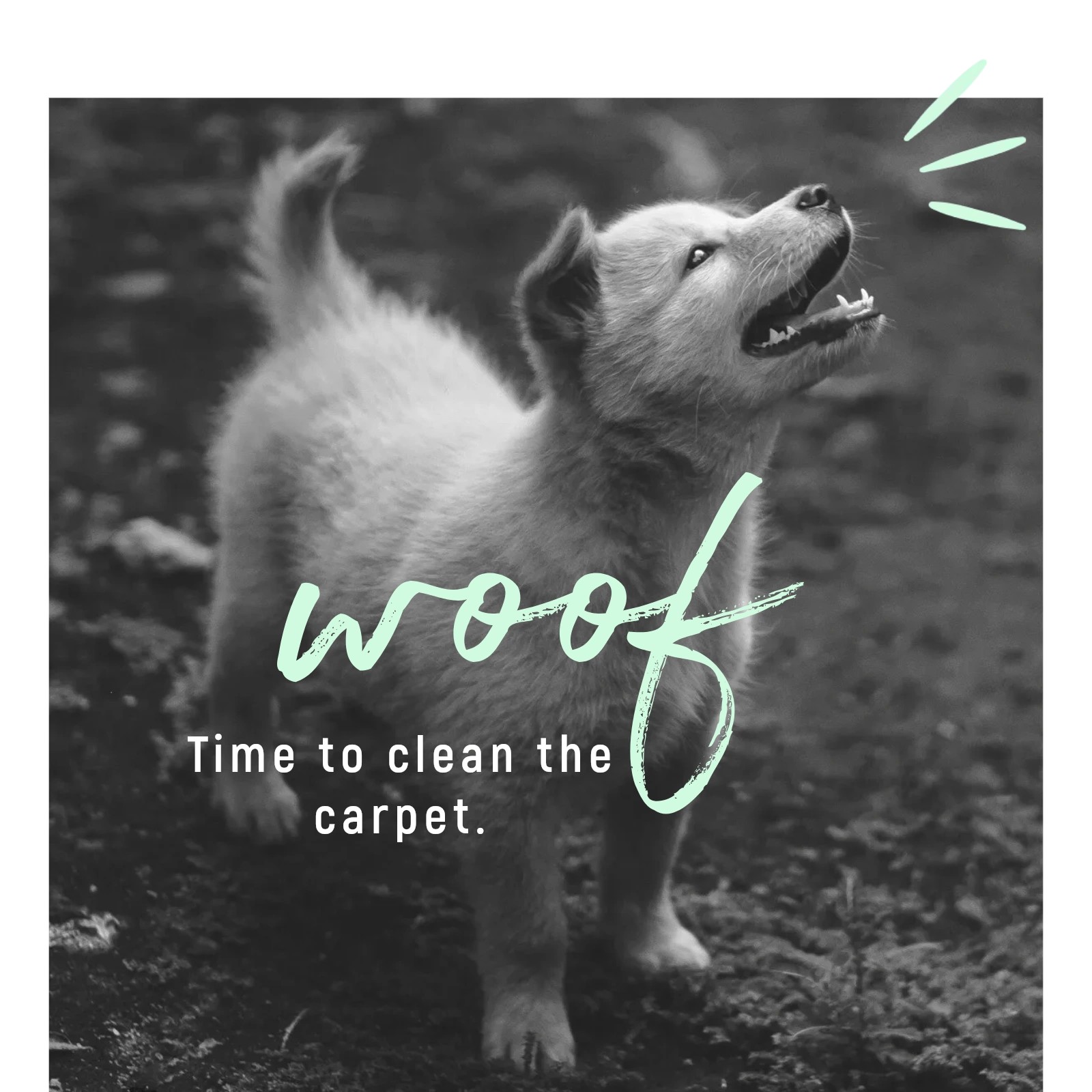 Certified Carpet & Upholstery 26 Grace Cove, Jackson Tennessee 38305