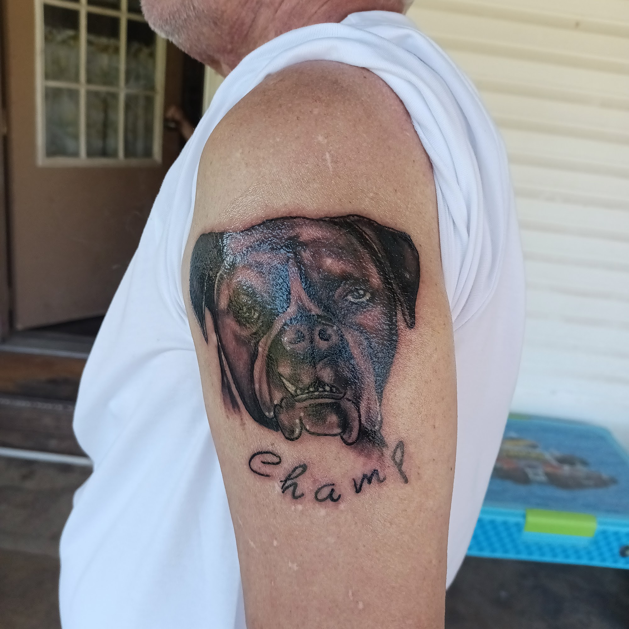 Timeless Tattoo Studio