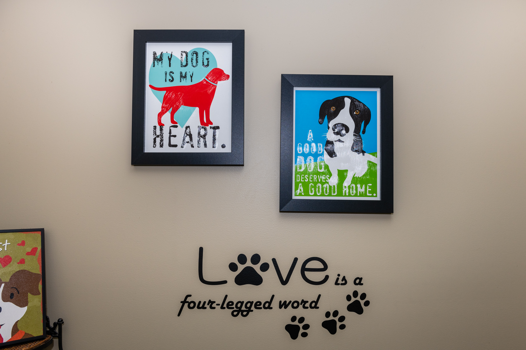 AllDogs Canine Care Center Jefferson City