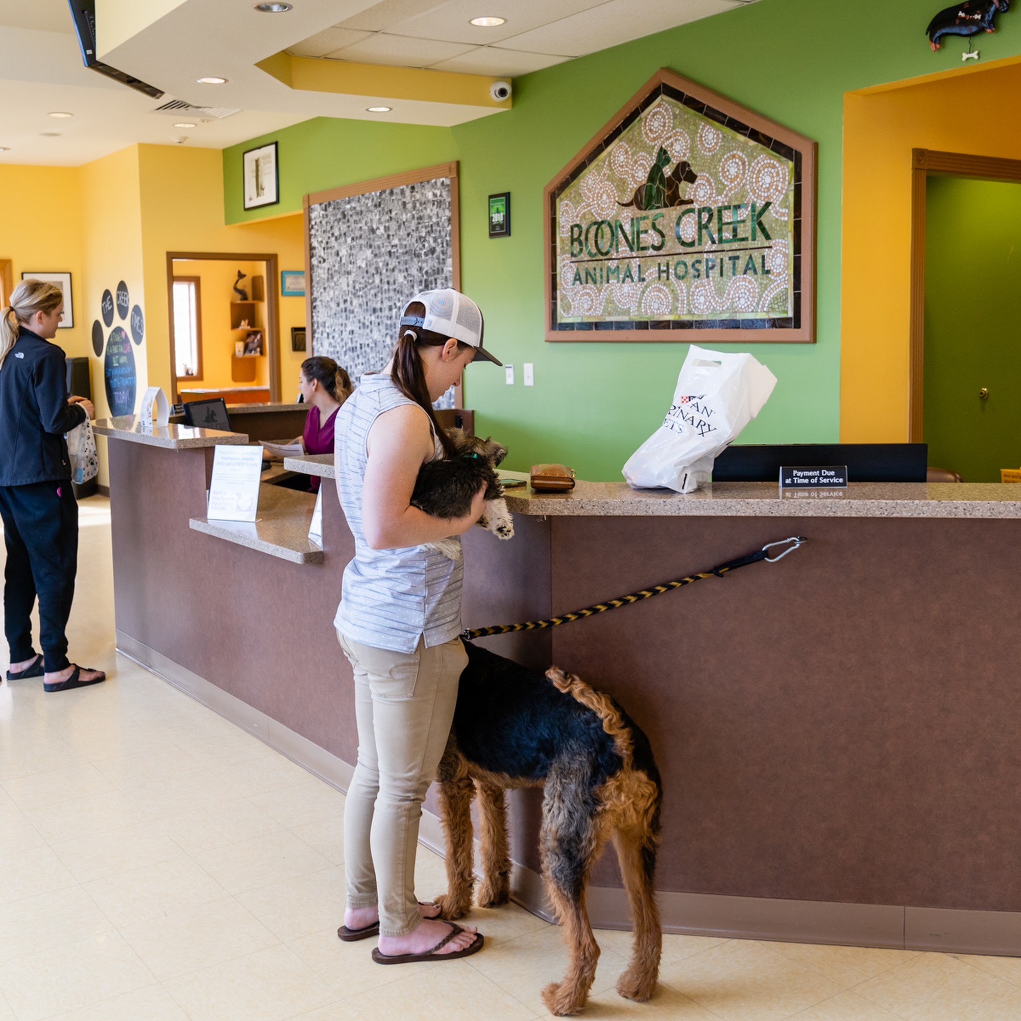 Boones Creek Animal Hospital Johnson City