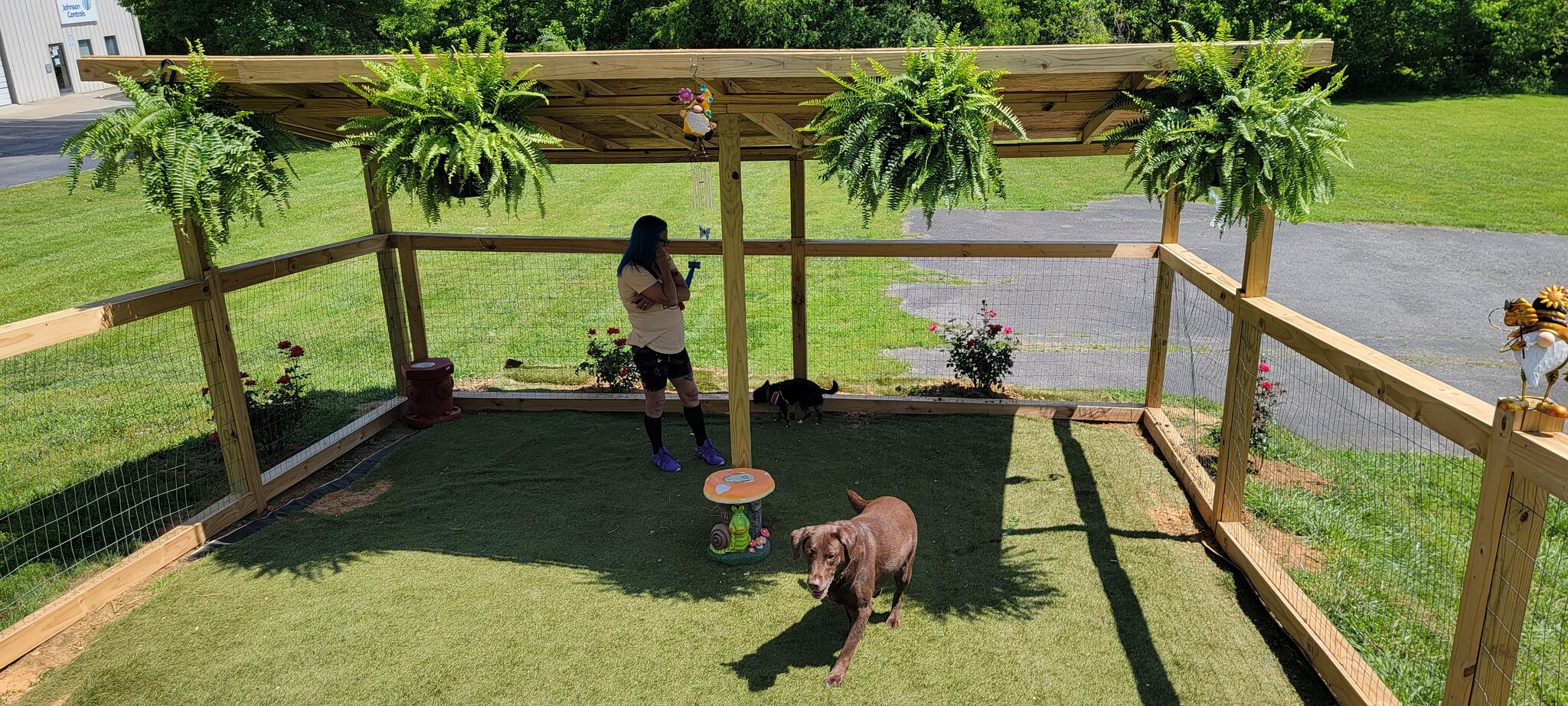 FairyTails Pet Grooming, Daycare & Boarding Johnson City