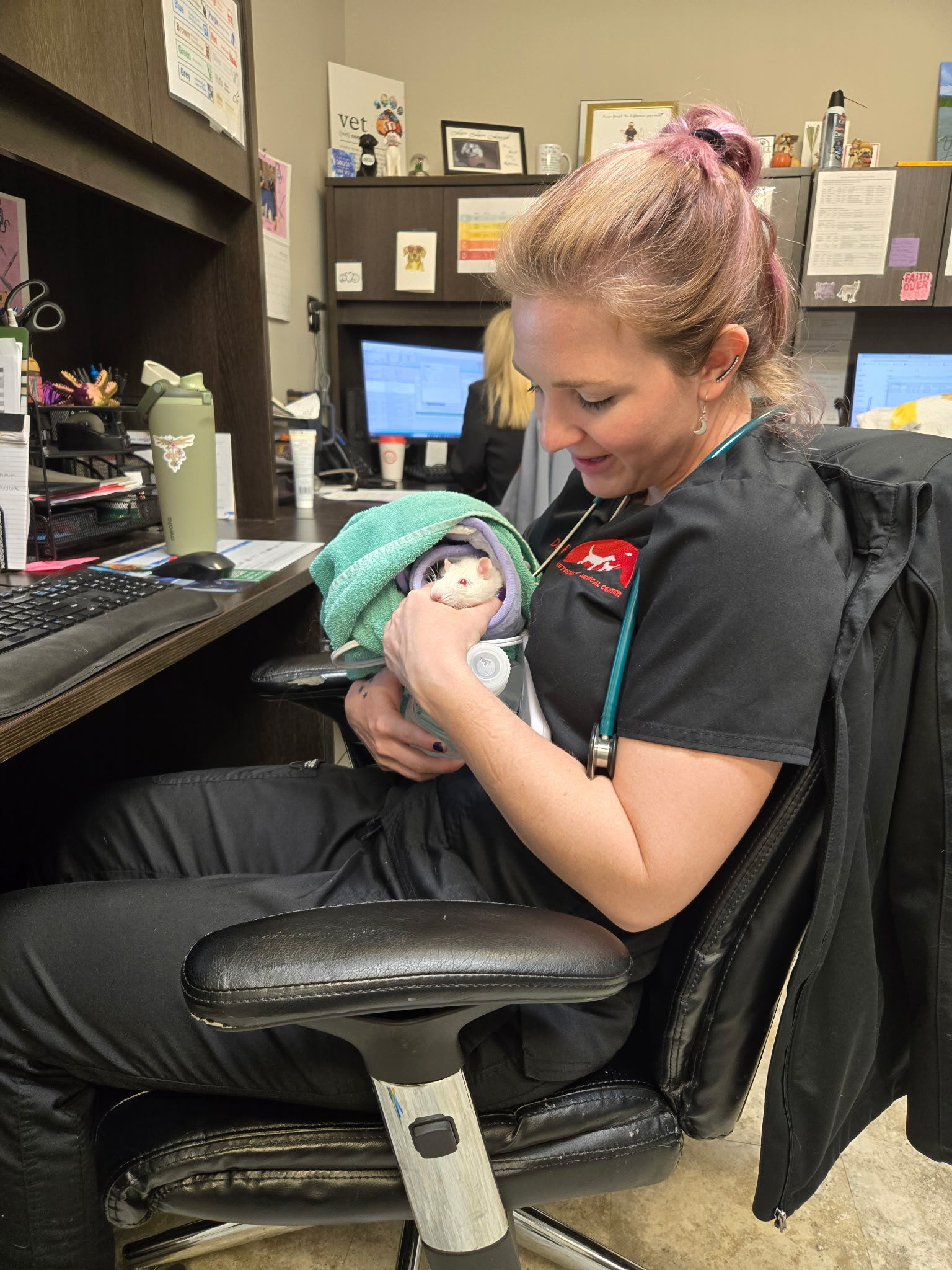 Veterinary Medical Center Johnson City