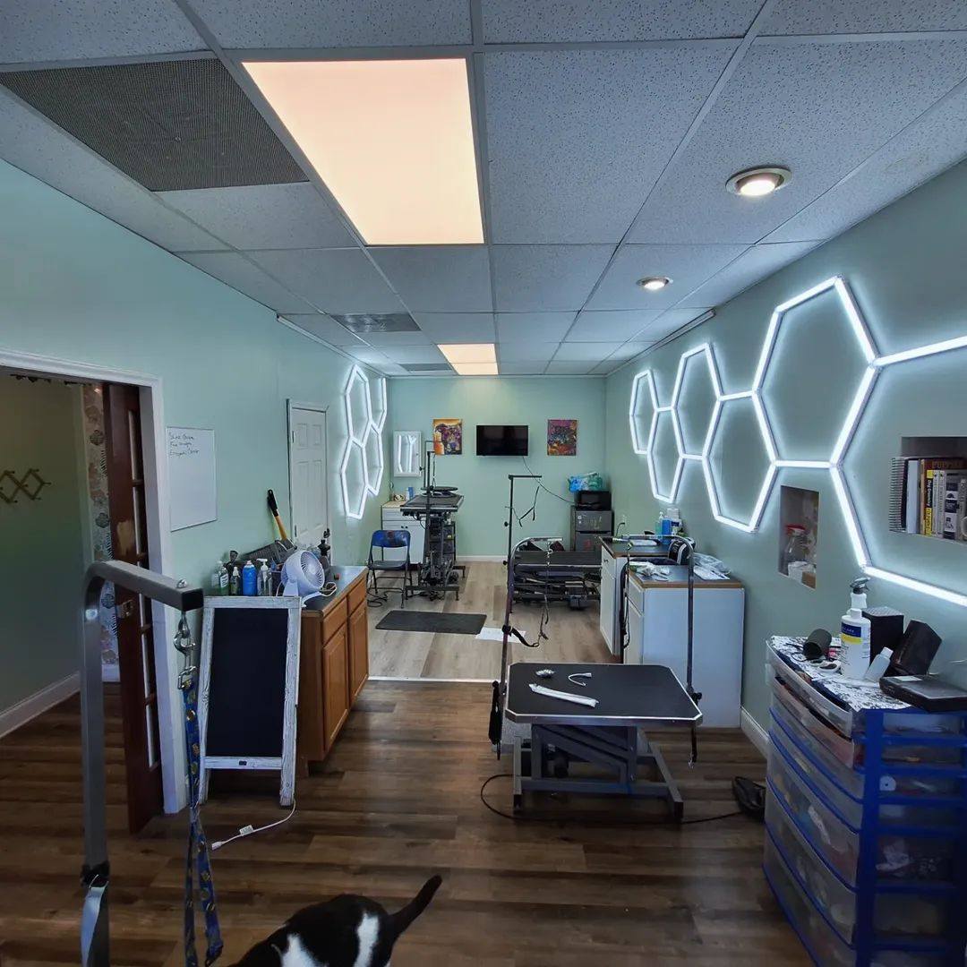 Soigné Pets Johnson City