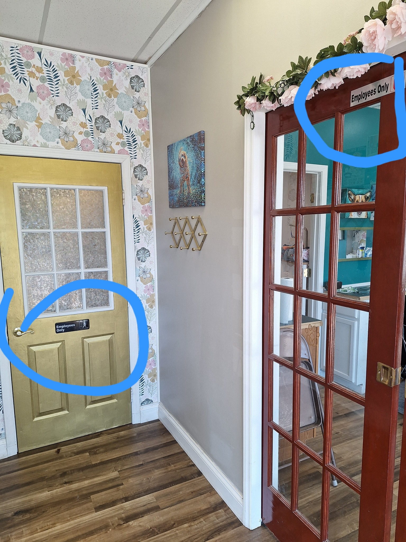 Soigné Pets Johnson City