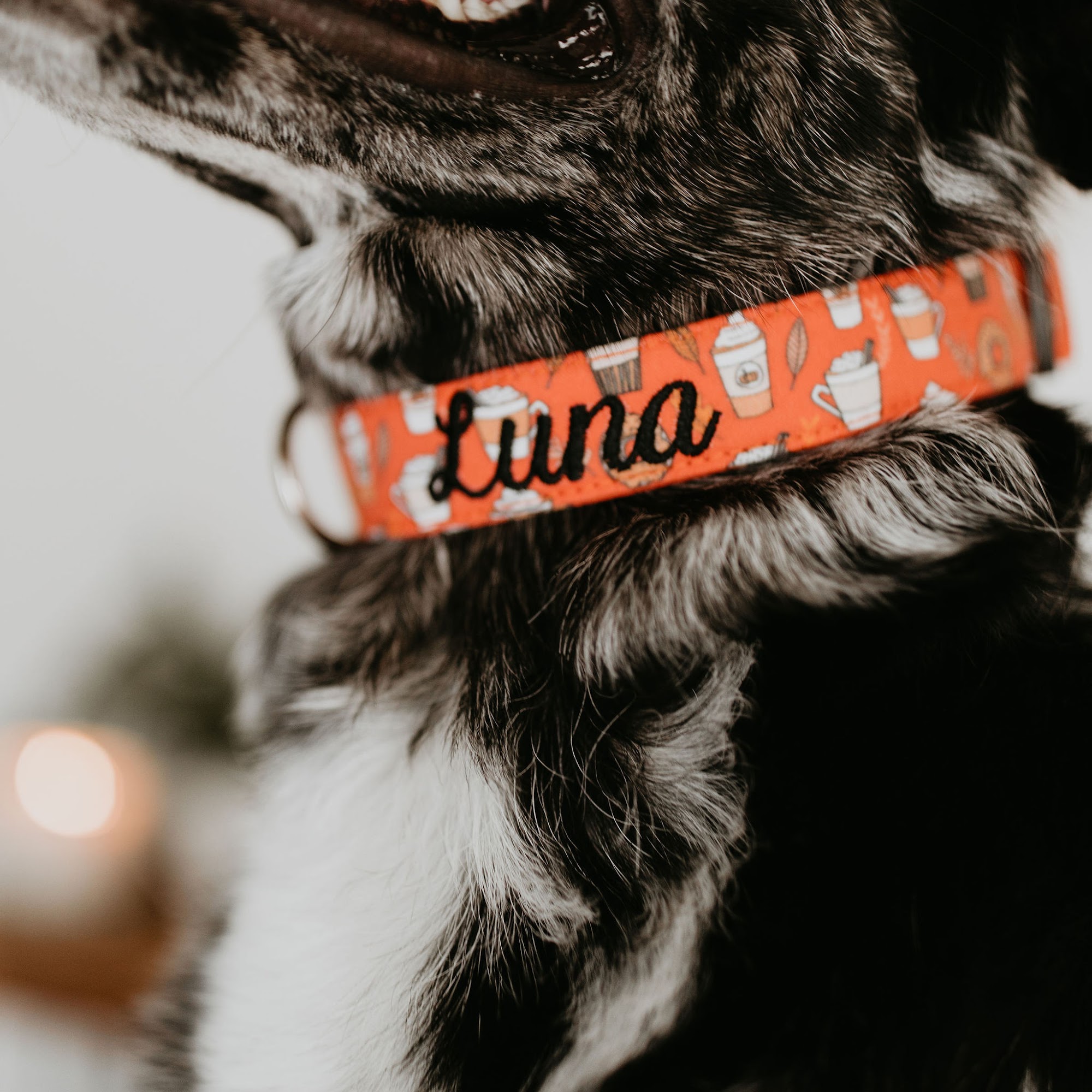 Duke & Fox Jonesborough