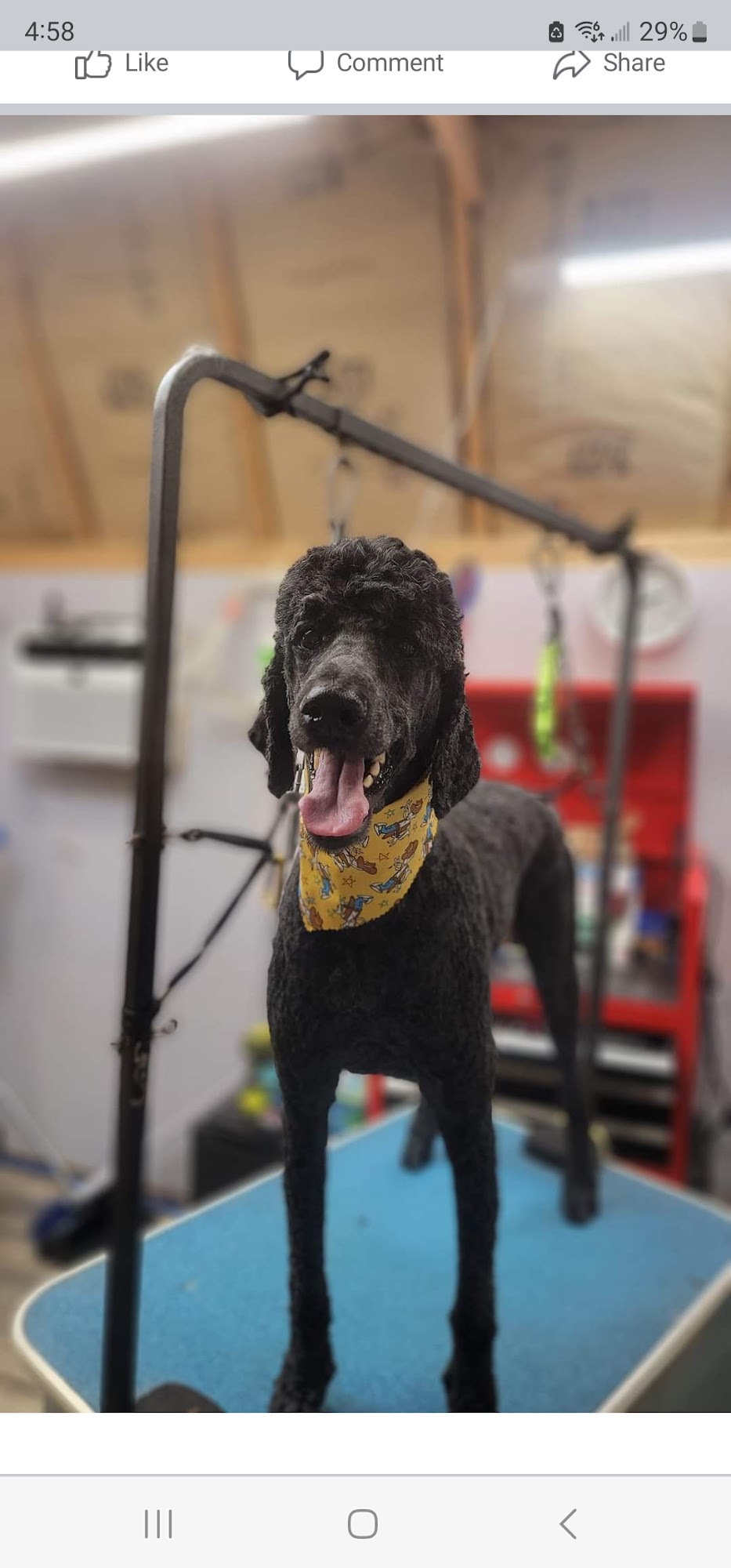 Kirk Veterinary Clinic Kimball