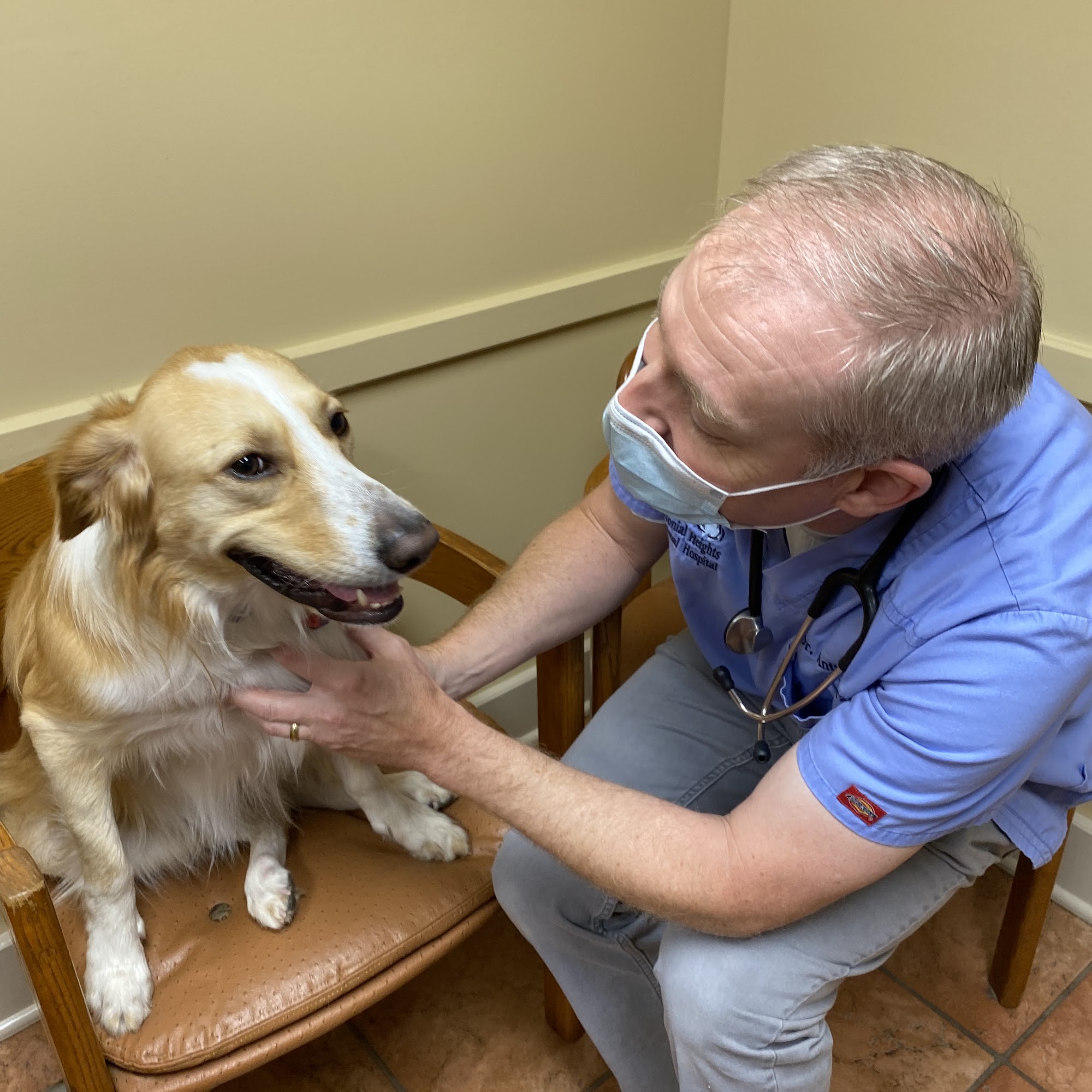 Colonial Heights Animal Hospital Kingsport