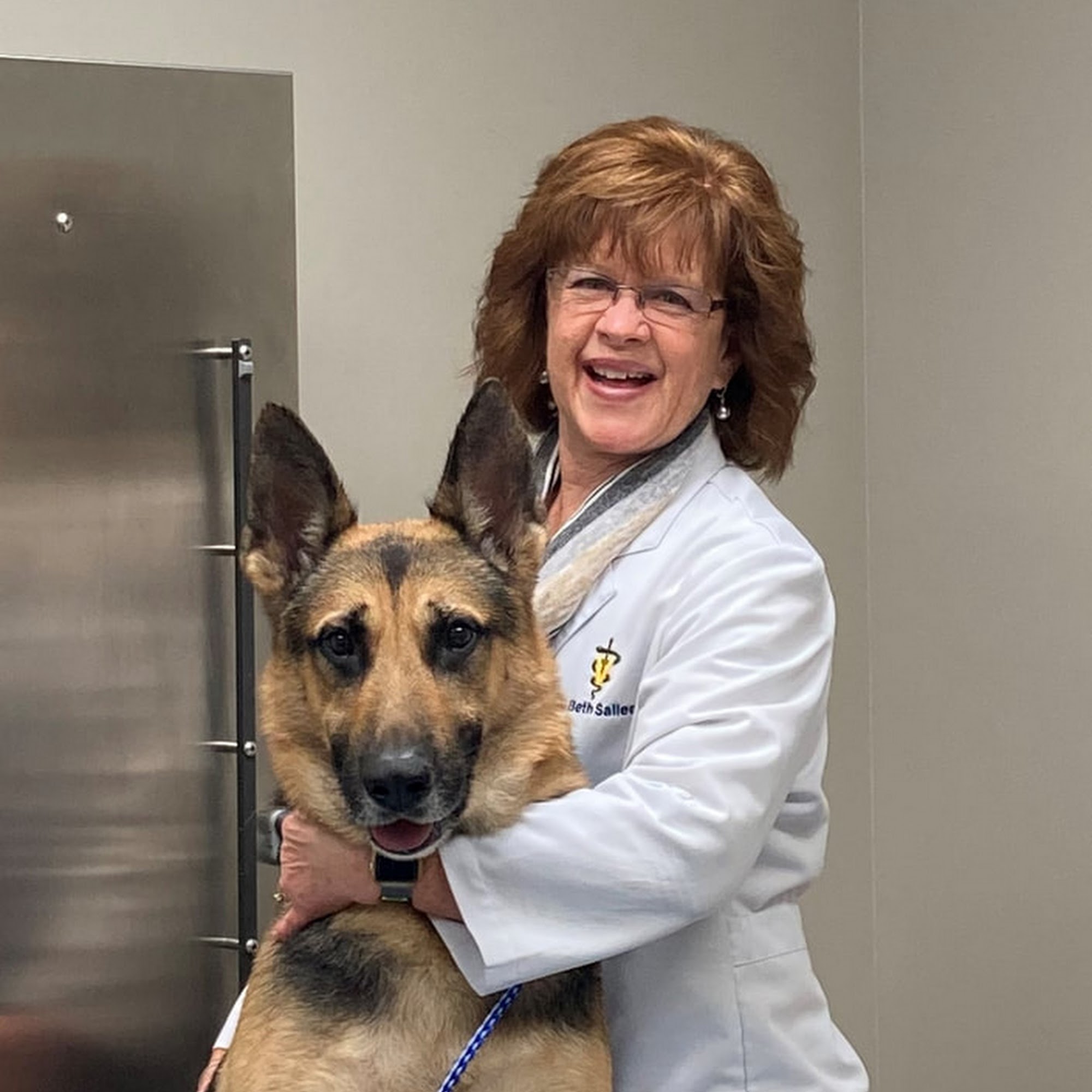 Fort Henry Animal Hospital Kingsport