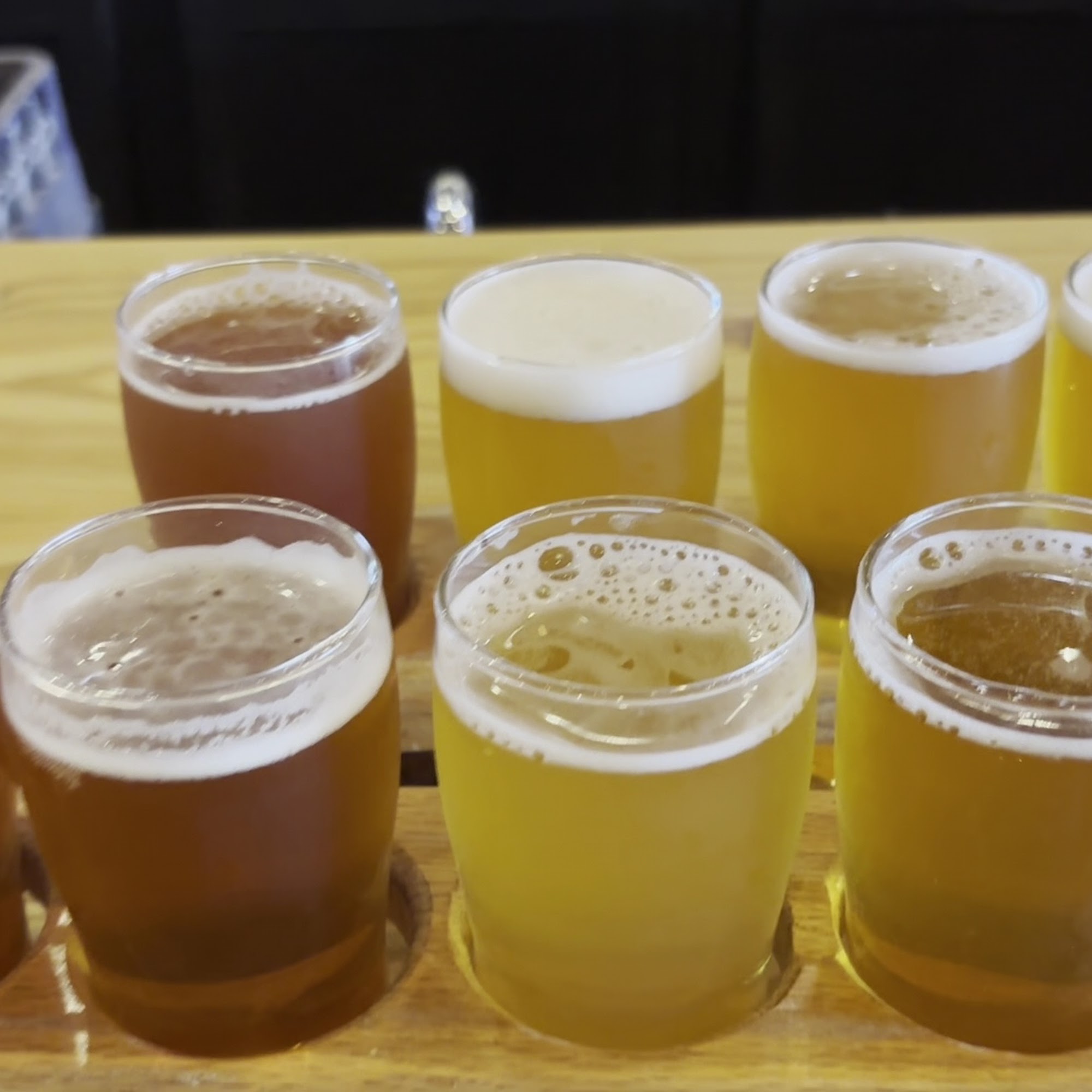 Bays Mountain Brewing Company Kingsport