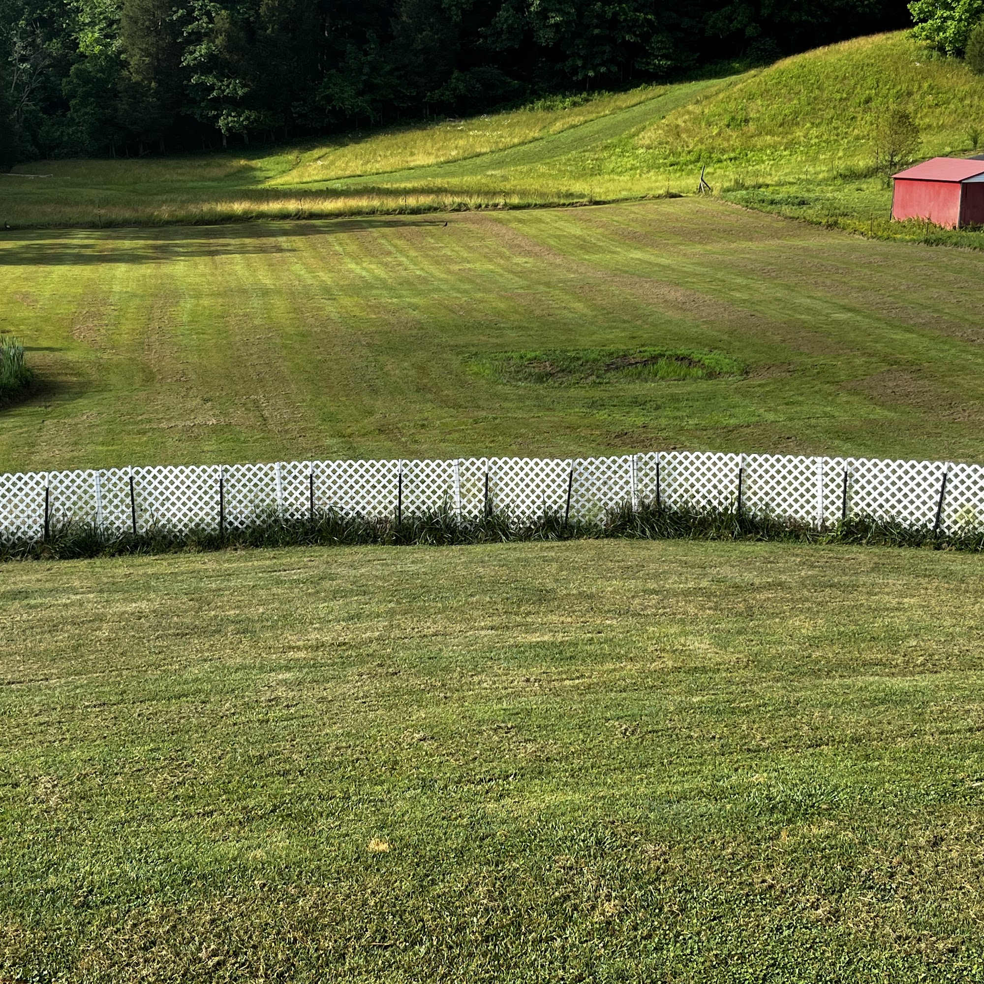 Happy Paws Hotel and Grooming Salon Kingsport