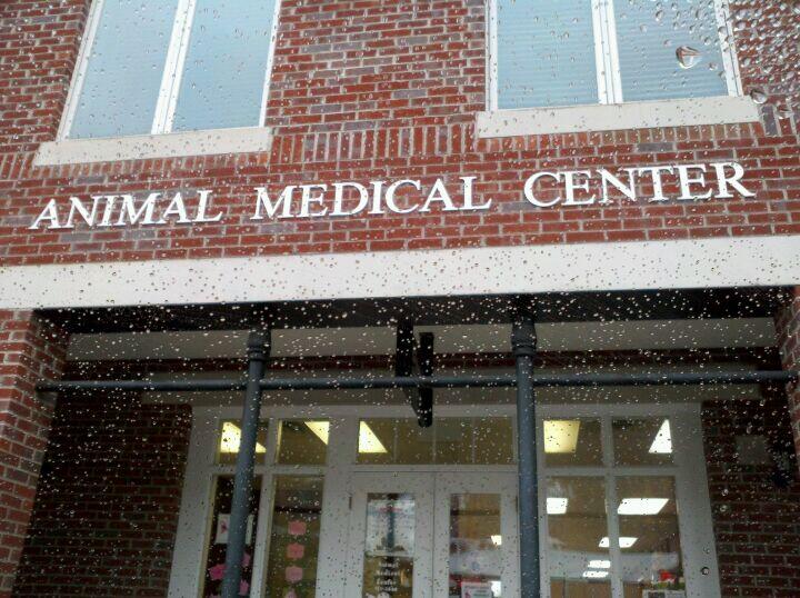 Animal Medical Center Kingston