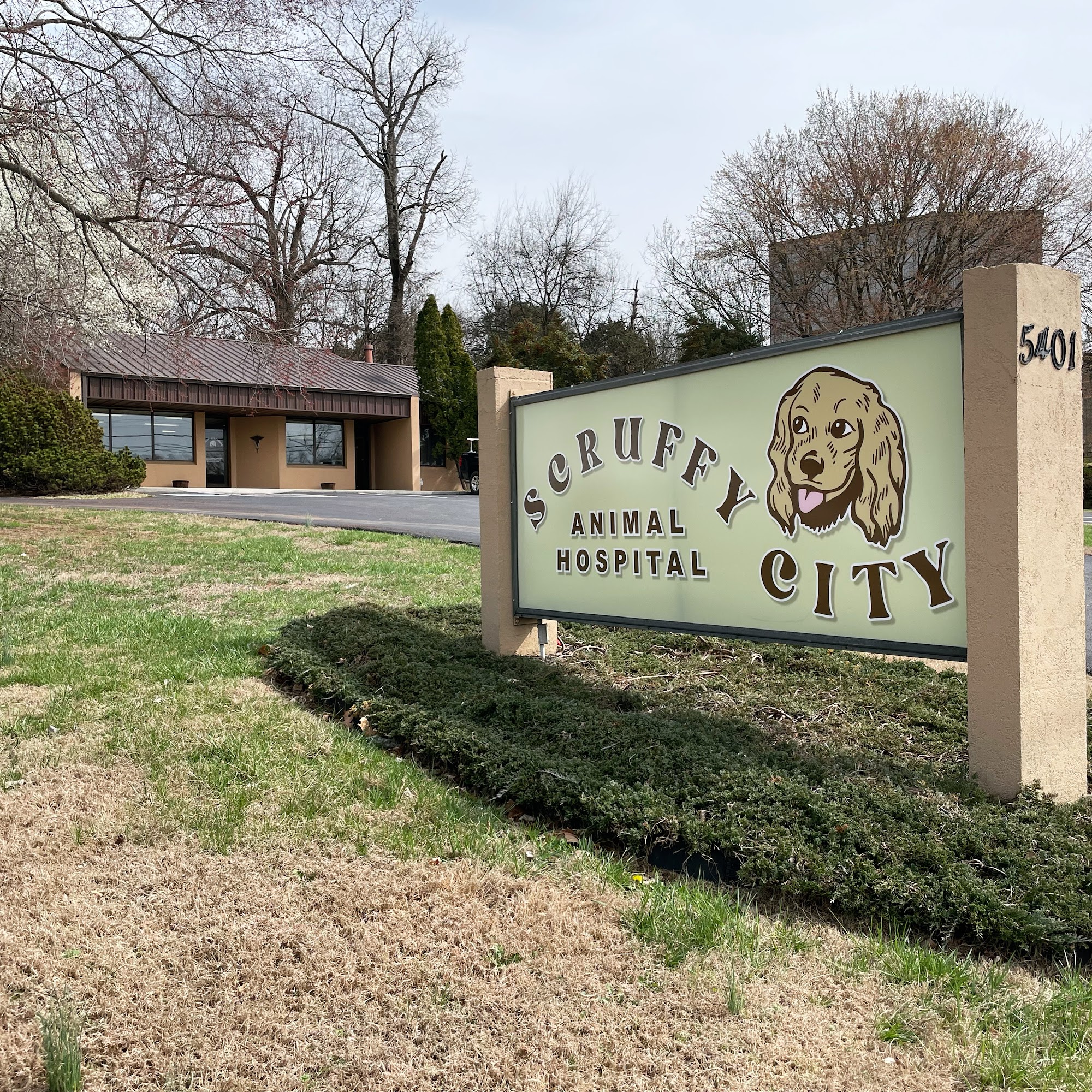 Scruffy City Animal Hospital Knoxville