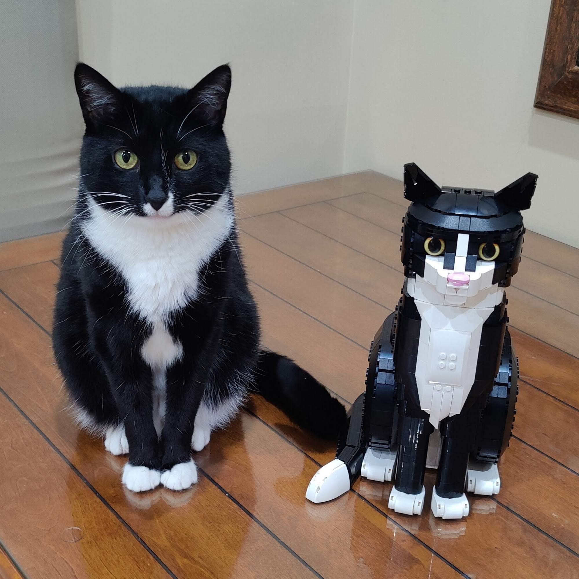 Cedar Bluff Animal Clinic Knoxville