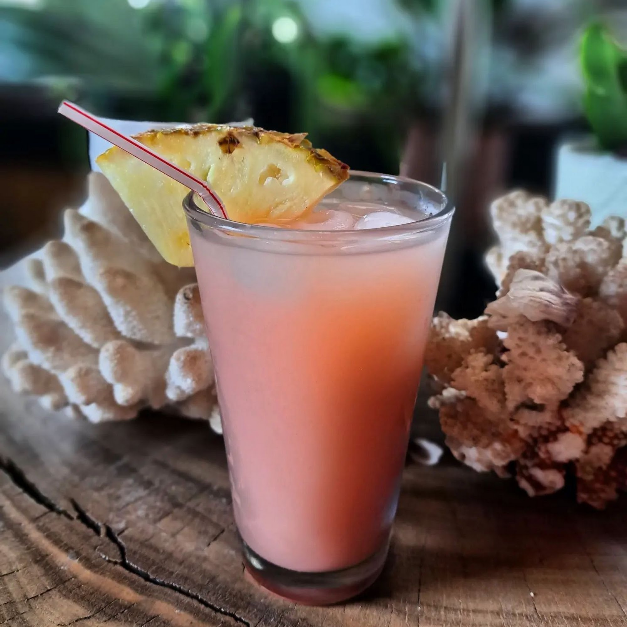 Noble Kava Ethnobotanical Tea Bar Knoxville