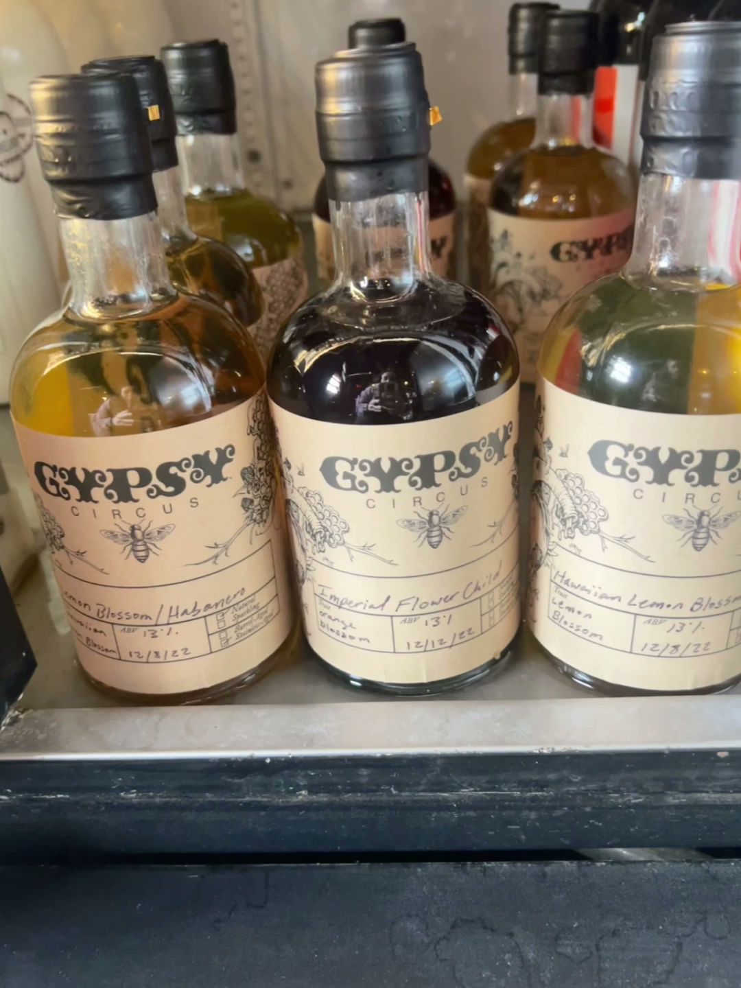 Barrelhouse by Gypsy Circus Knoxville