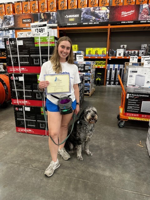 The Dog Wizard Knoxville Knoxville