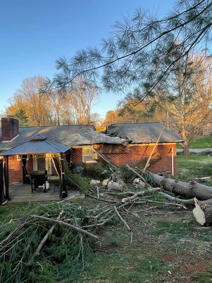 A-1 Wilson Tree & Lawn Service