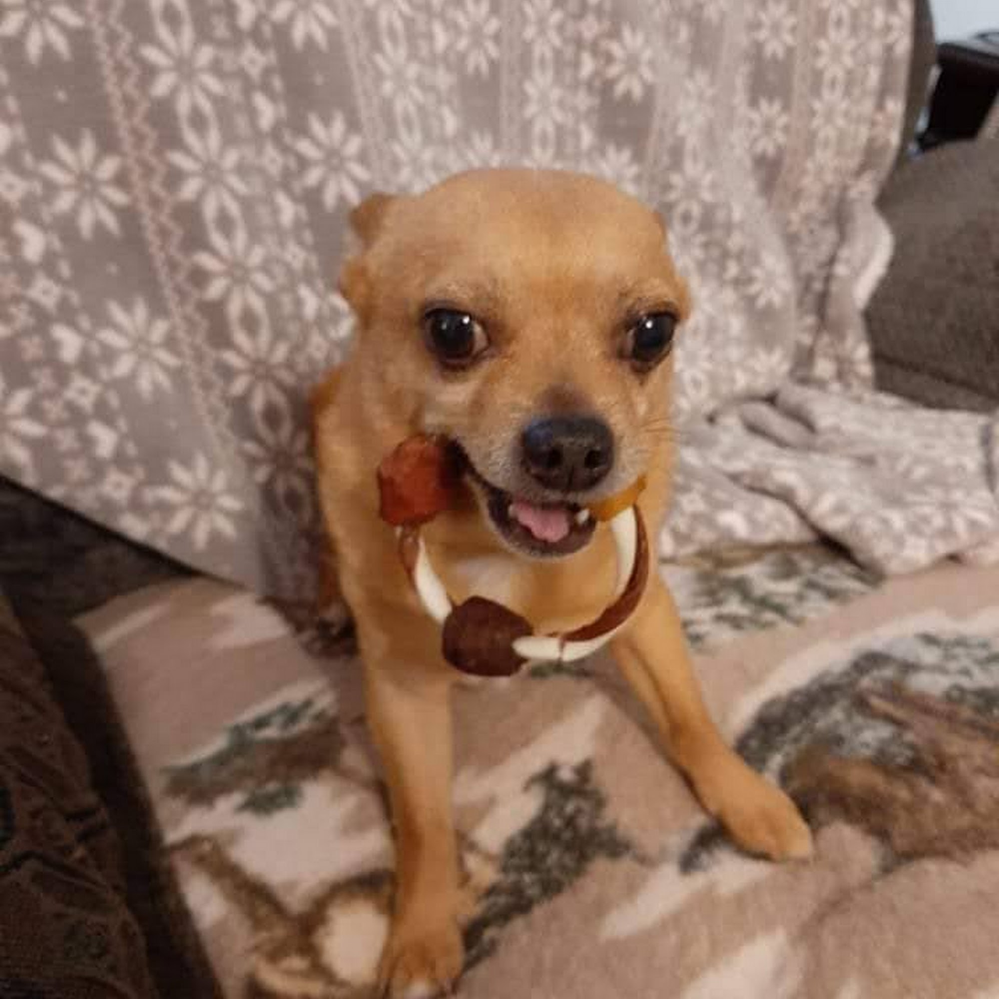 Evetts Animal Clinic Lafayette