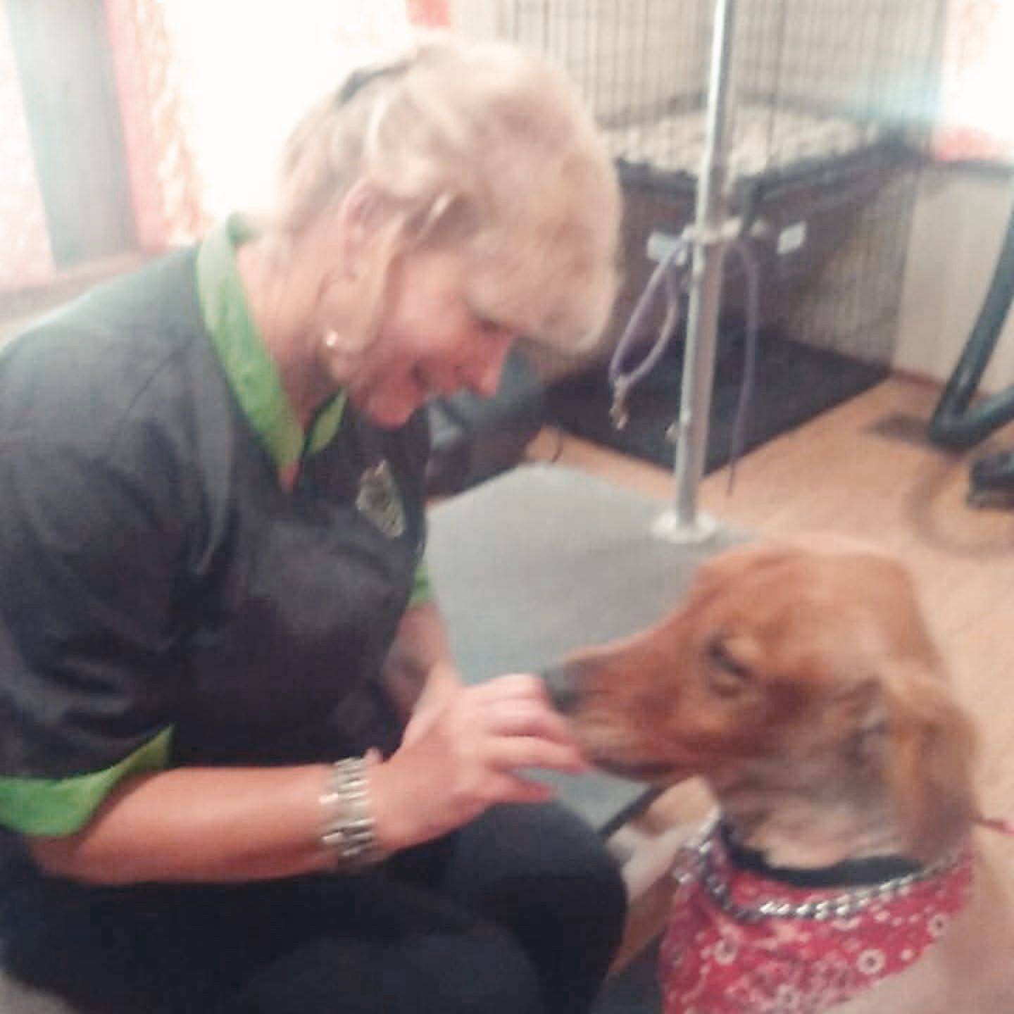 Riverbank Tails Grooming LaFollette