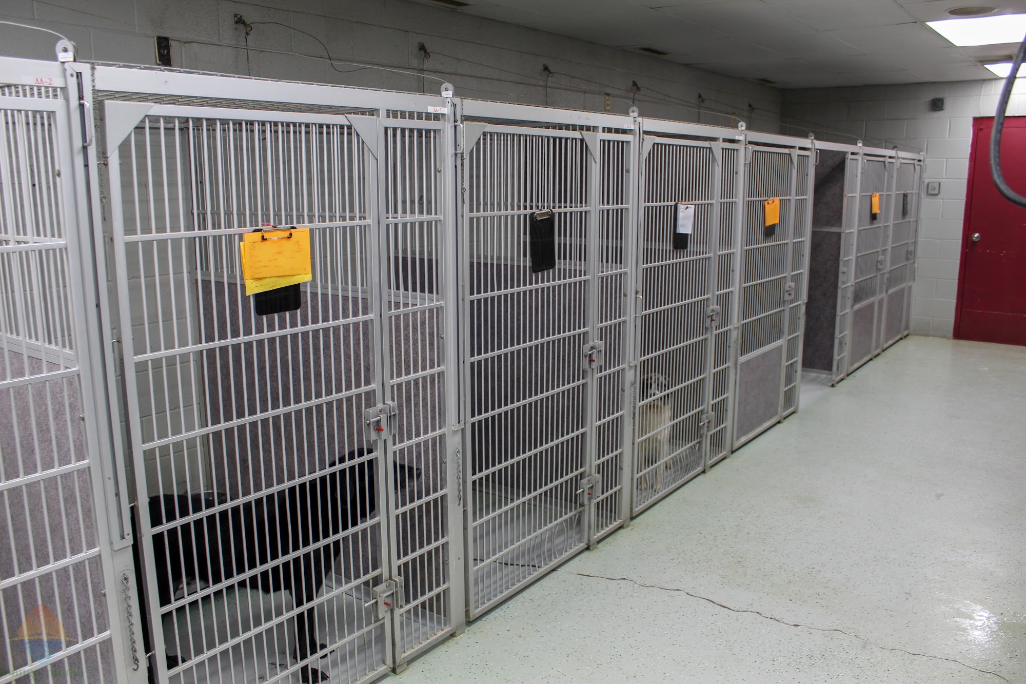 Canine Solutions Lawrenceburg