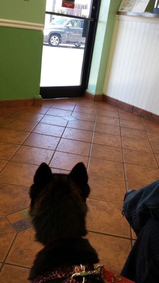Lebanon Animal Hospital Lebanon