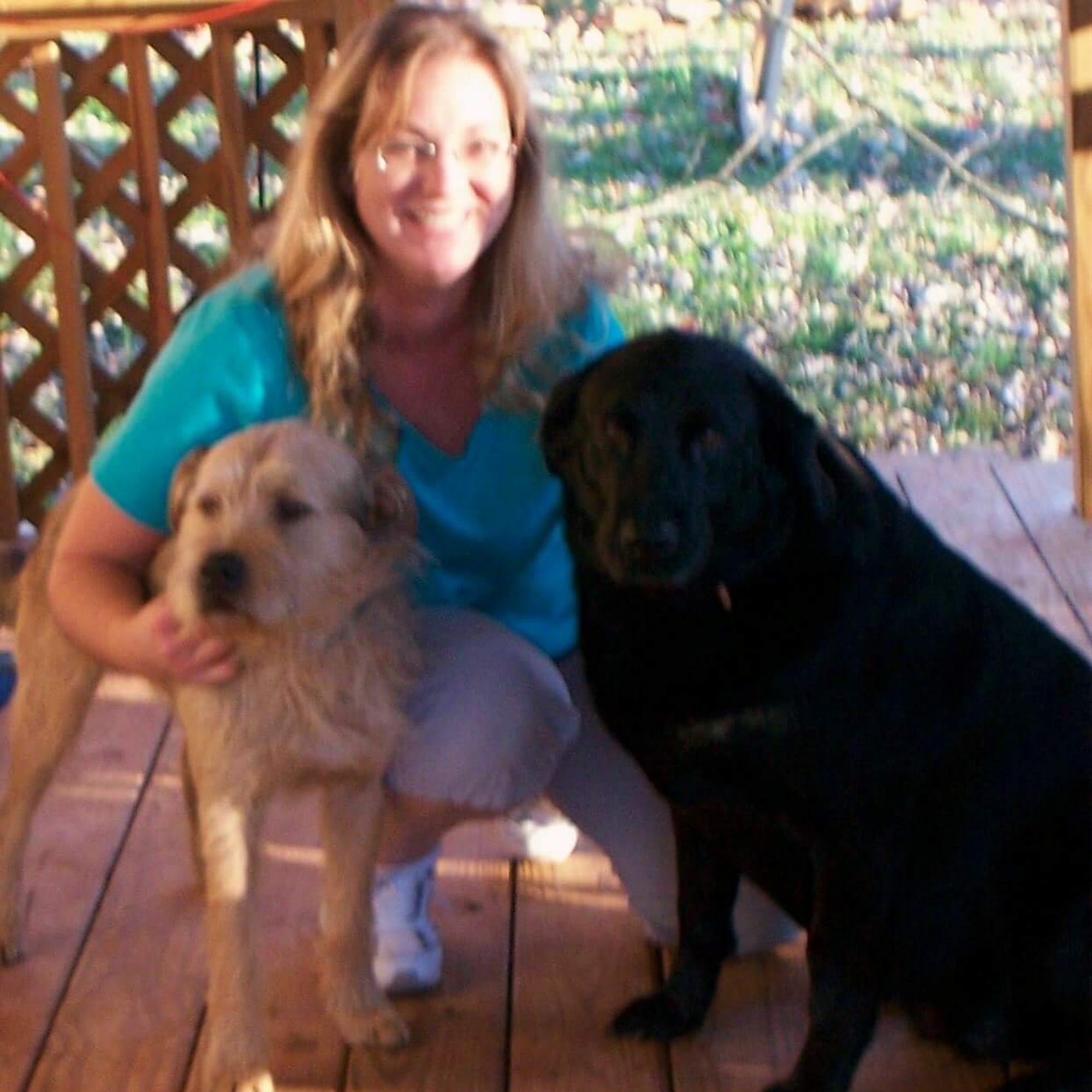 Critter Sitters Lenoir City Tn. Lenoir City