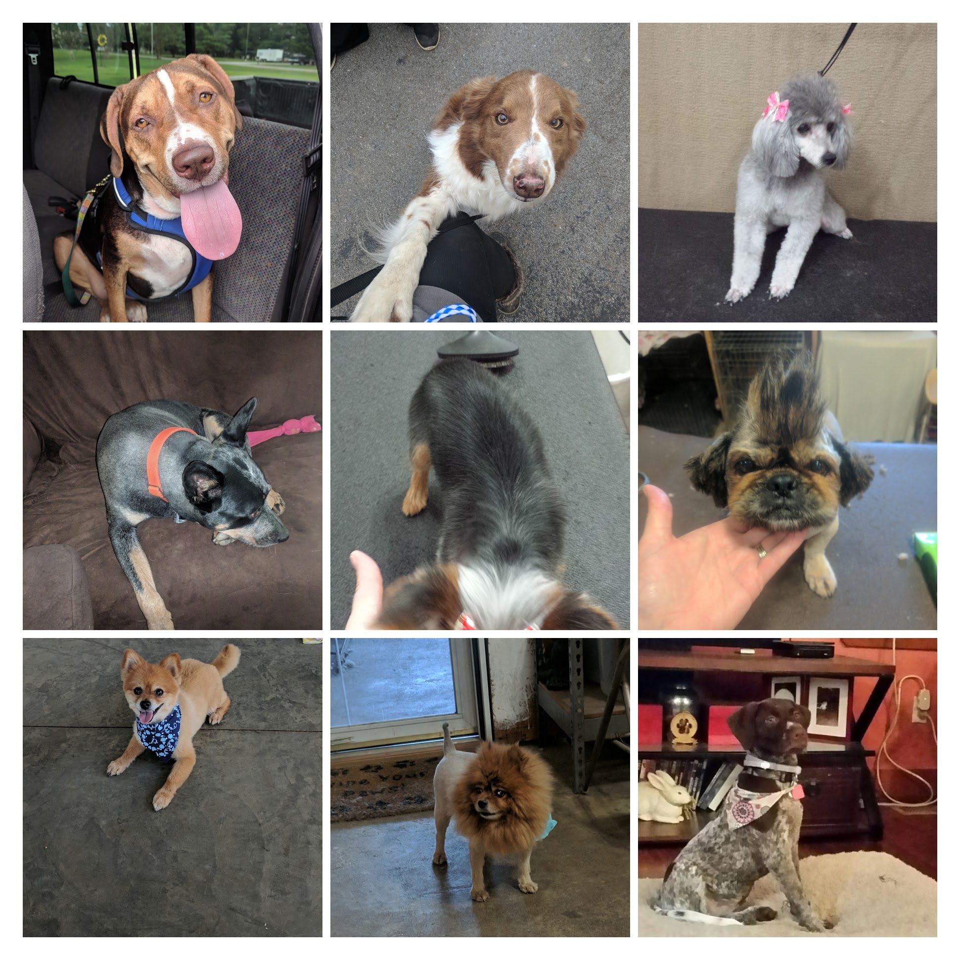 Making Rover Over Lewisburg