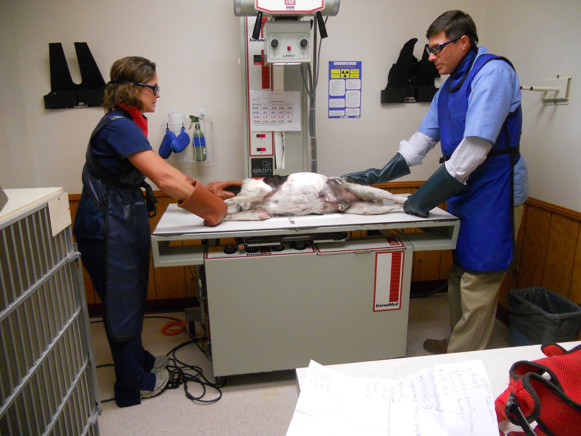 VCA Ragland & Riley Animal Hospital Livingston