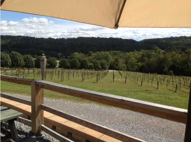 Tennessee Valley Winery Loudon