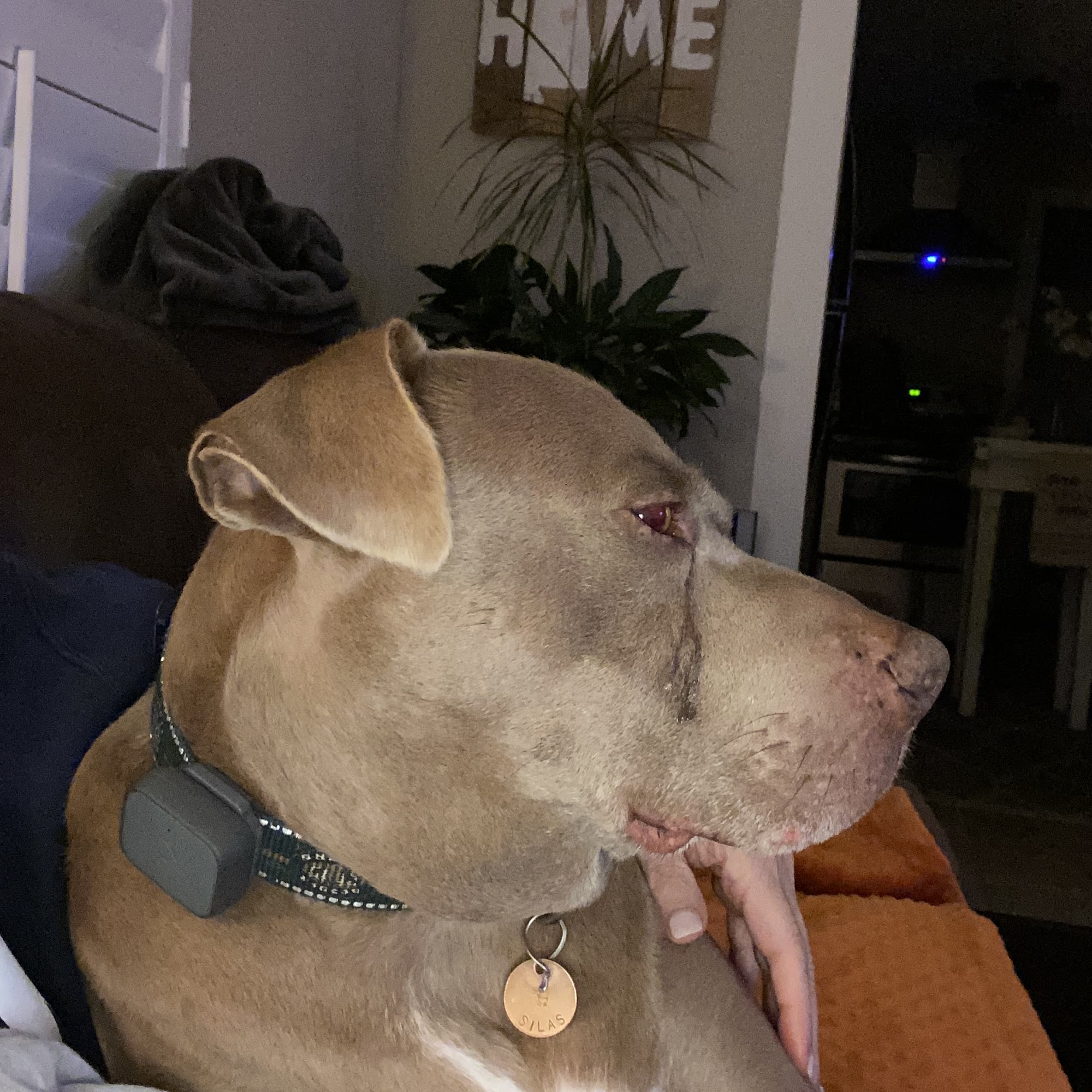 Emberton House Call Veterinary Clinic Madison