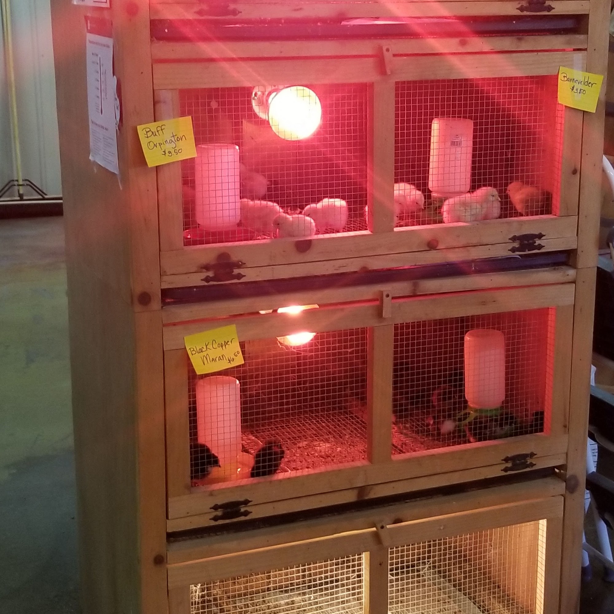 East Tennessee Feed & Seed Madisonville