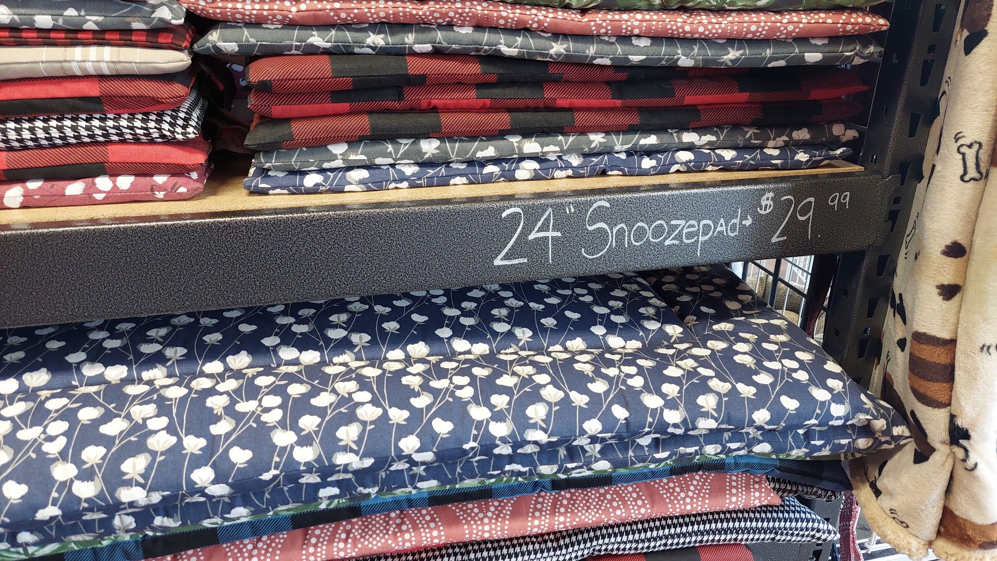 Hollywood Feed Memphis