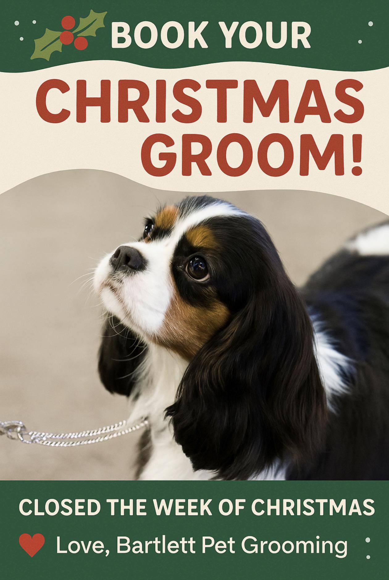 Bartlett Pet Grooming Memphis