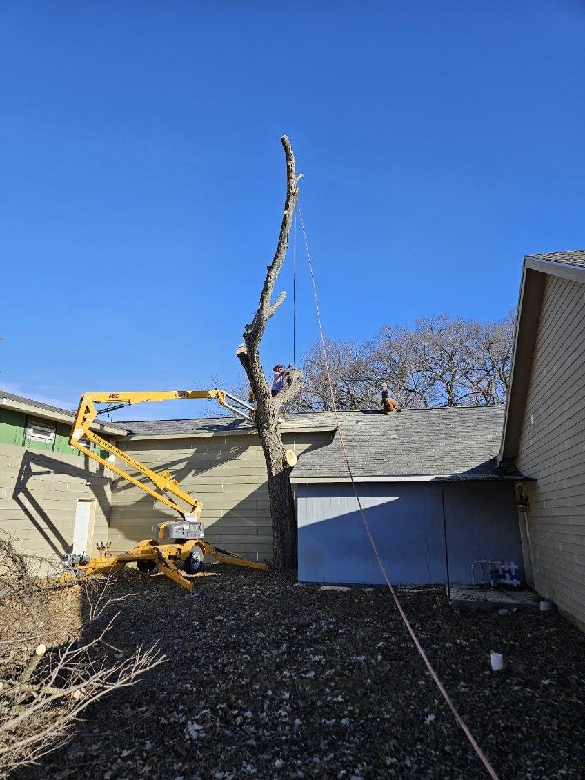 All Around Lawn & Tree Care Memphis Tennessee 38107