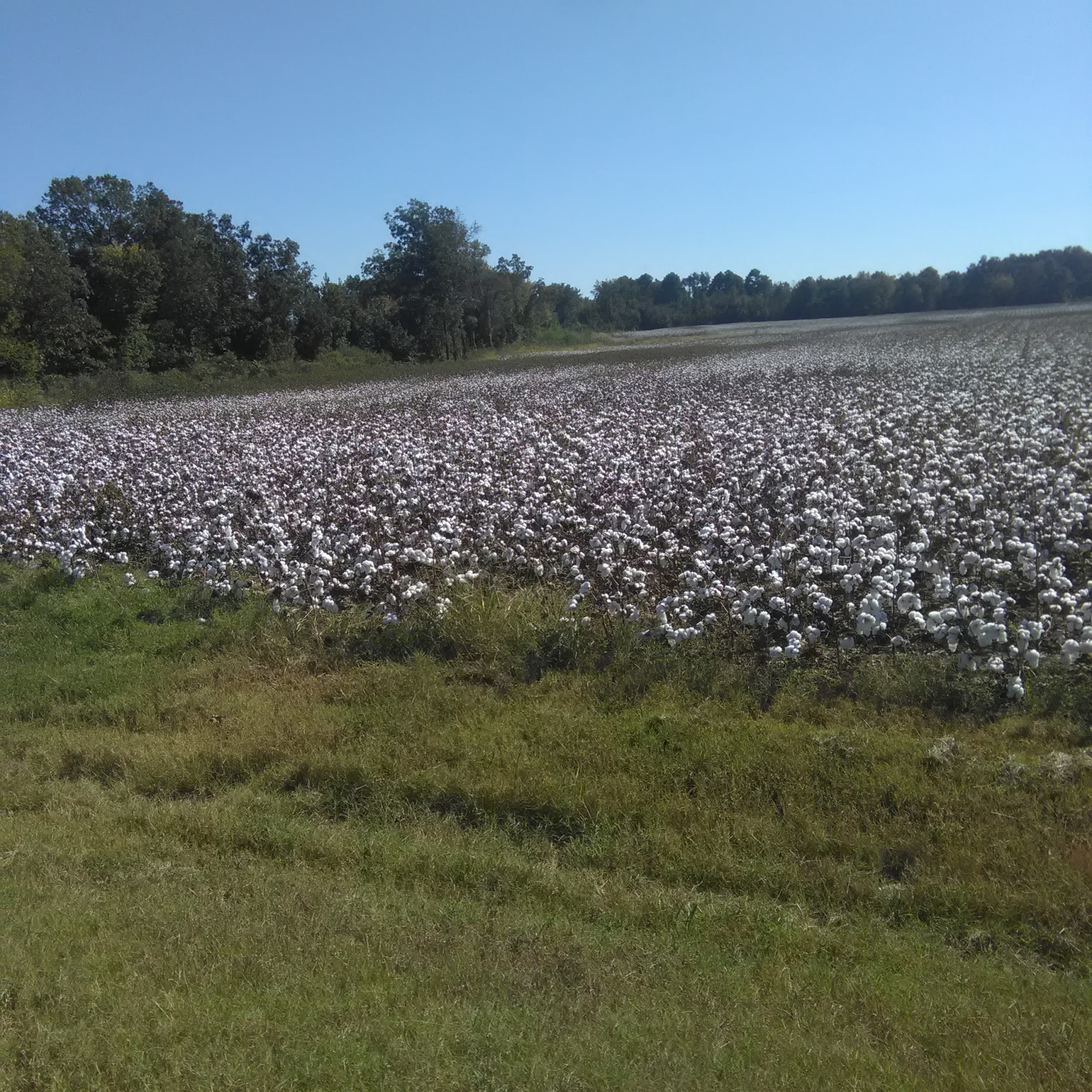 United Ammunition Containers Milan