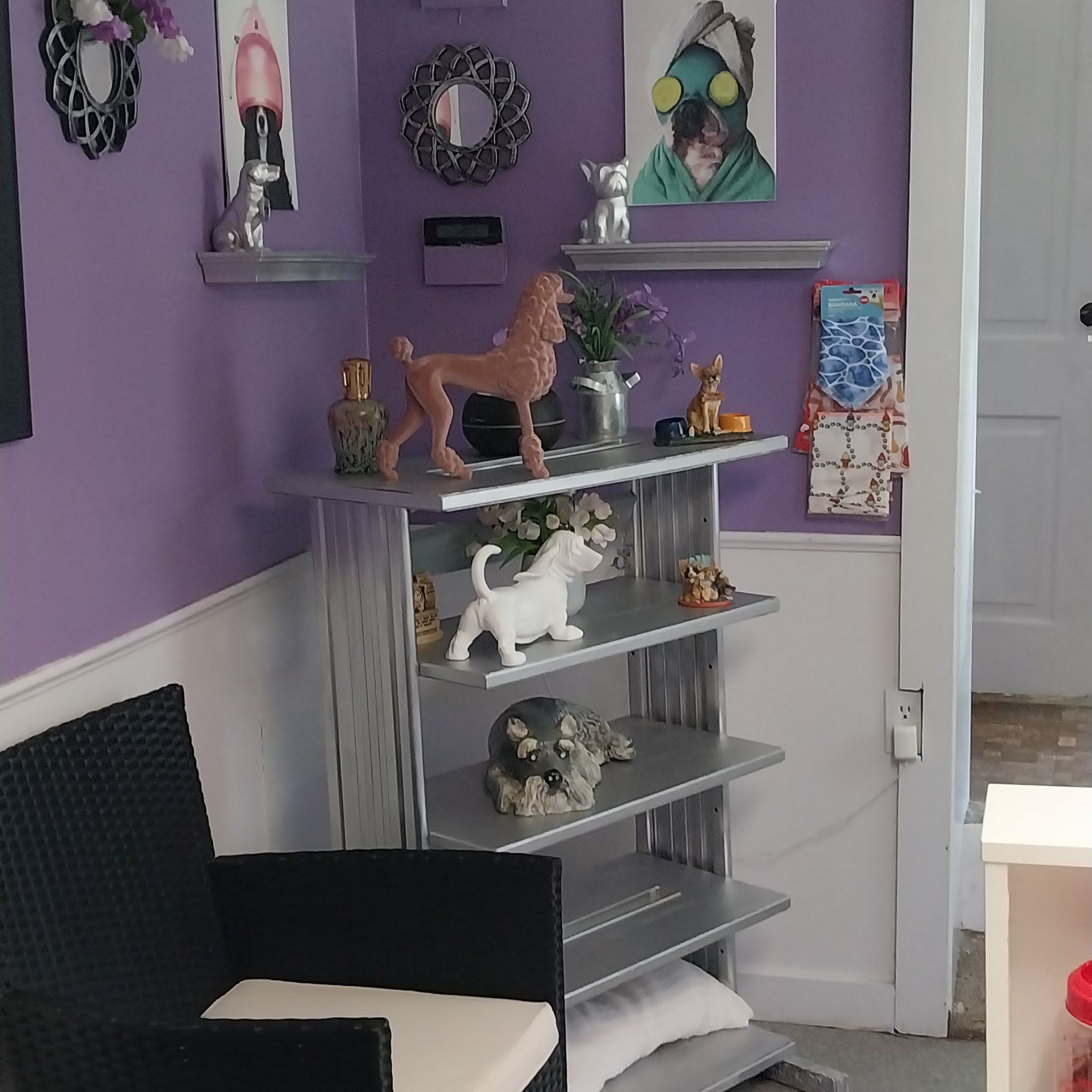 Animal House Grooming-Morristown, Tn Morristown