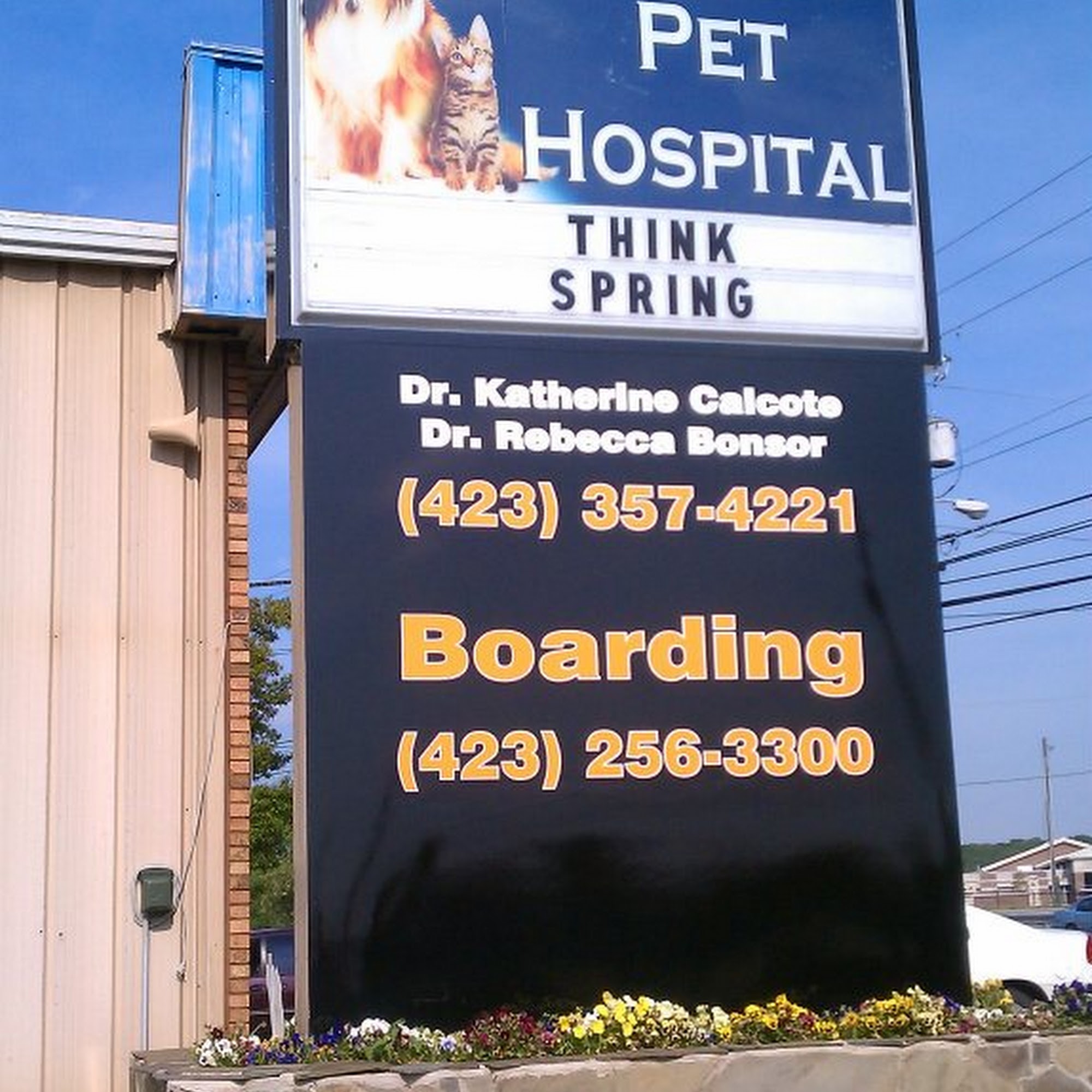 Mount Carmel Pet Hospital Mt Carmel