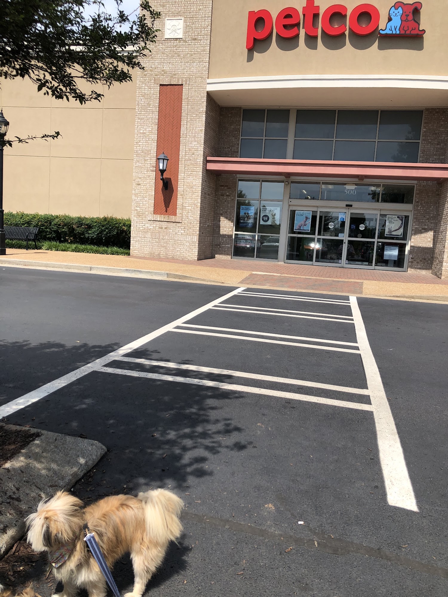 Petco Murfreesboro
