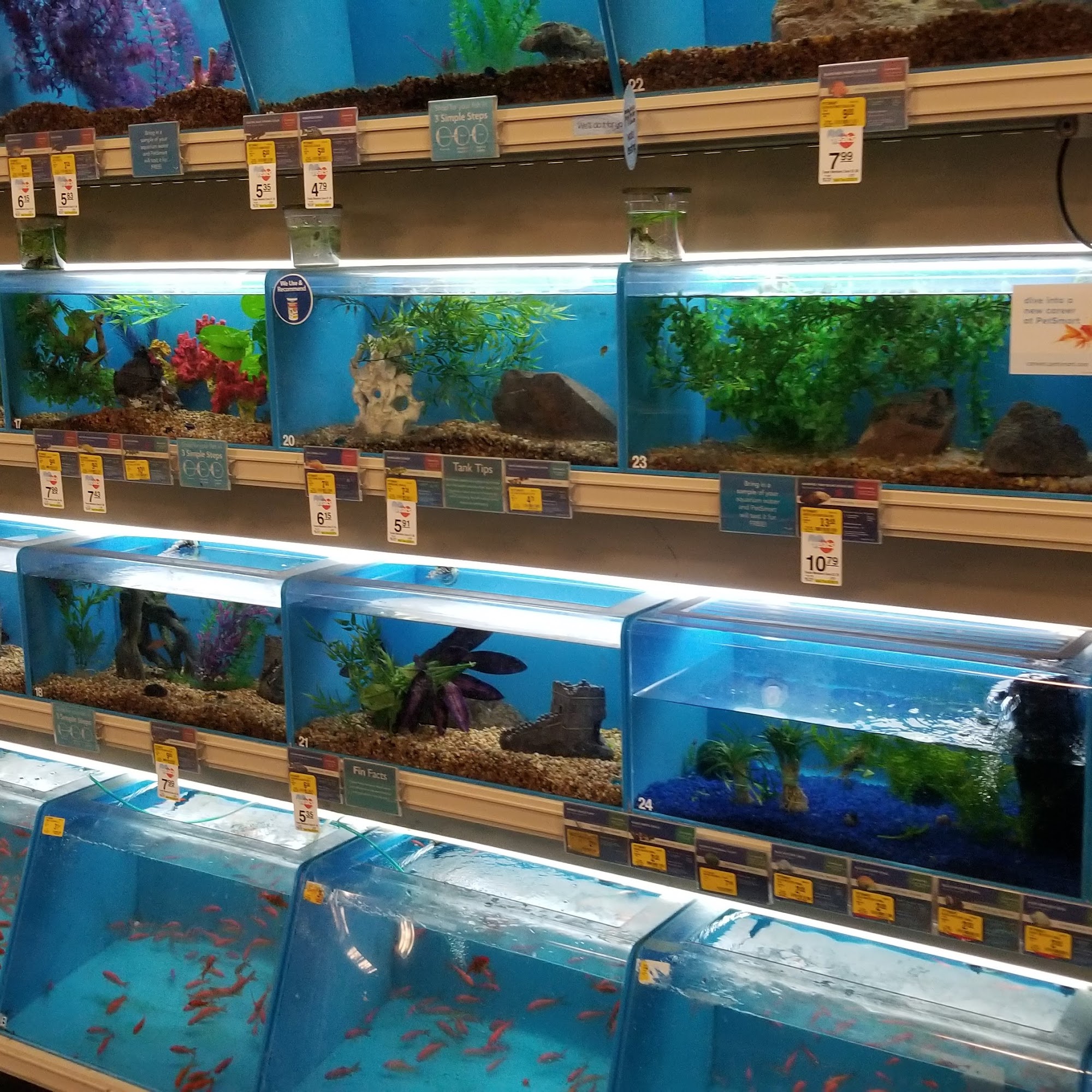 PetSmart Murfreesboro