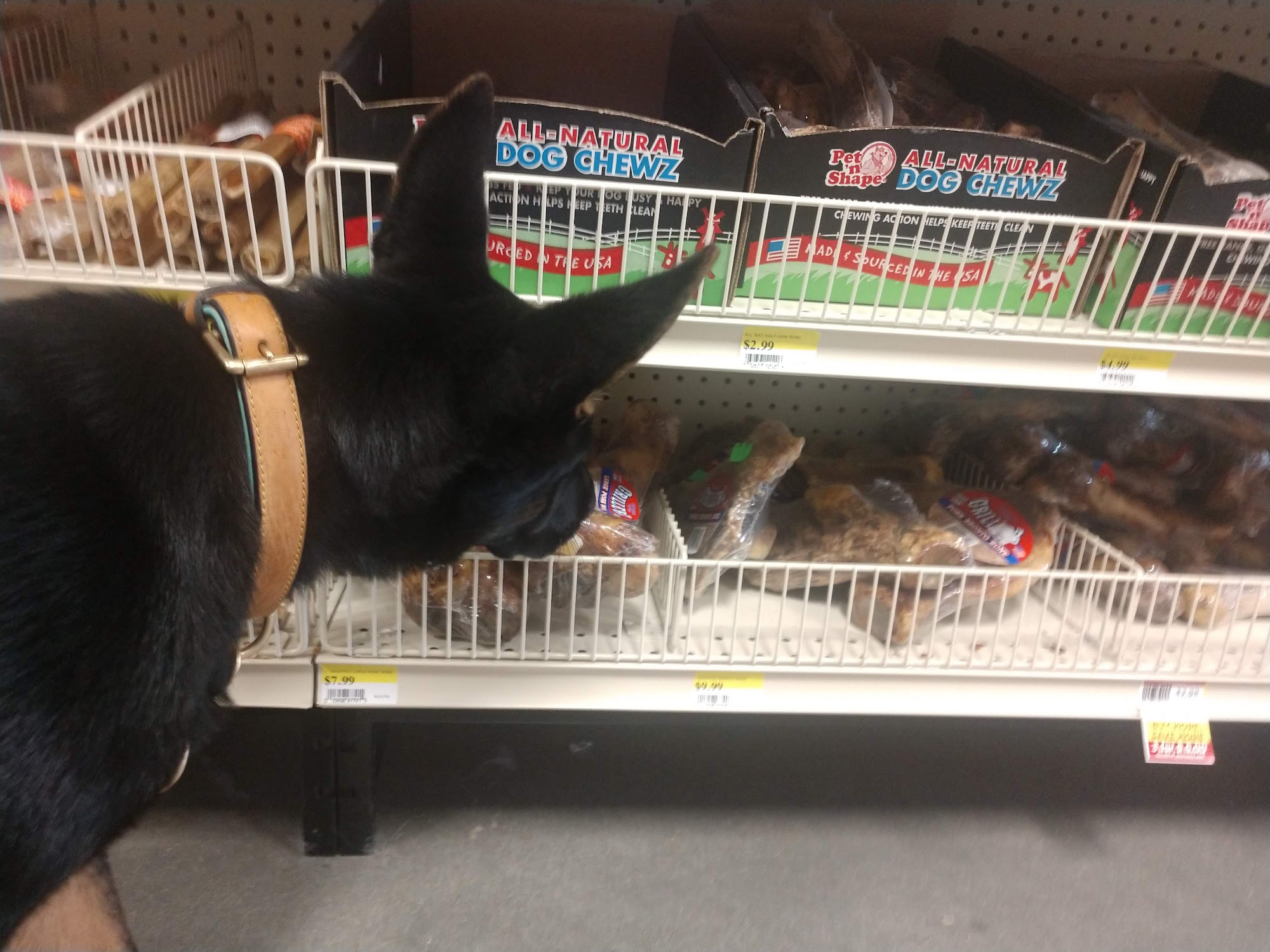 Petsense by Tractor Supply Murfreesboro