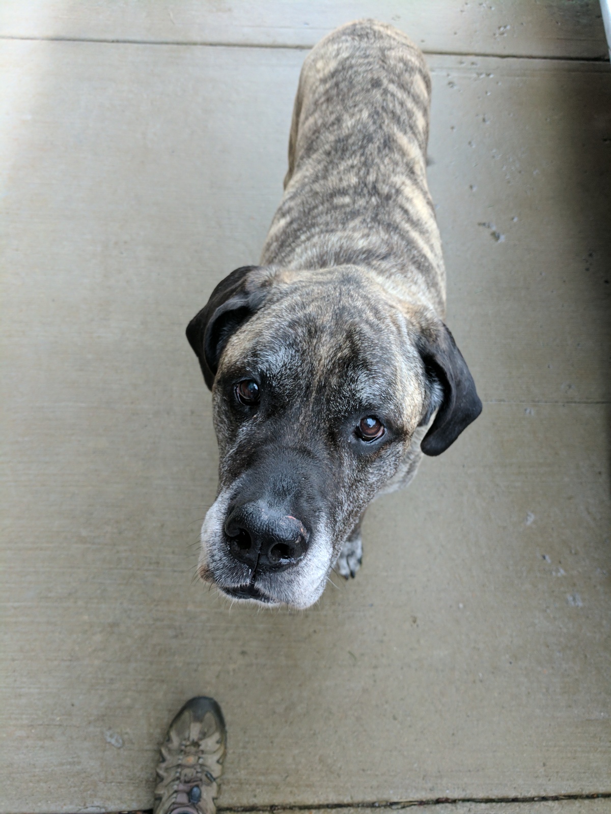 VCA Creekside Animal Hospital Murfreesboro