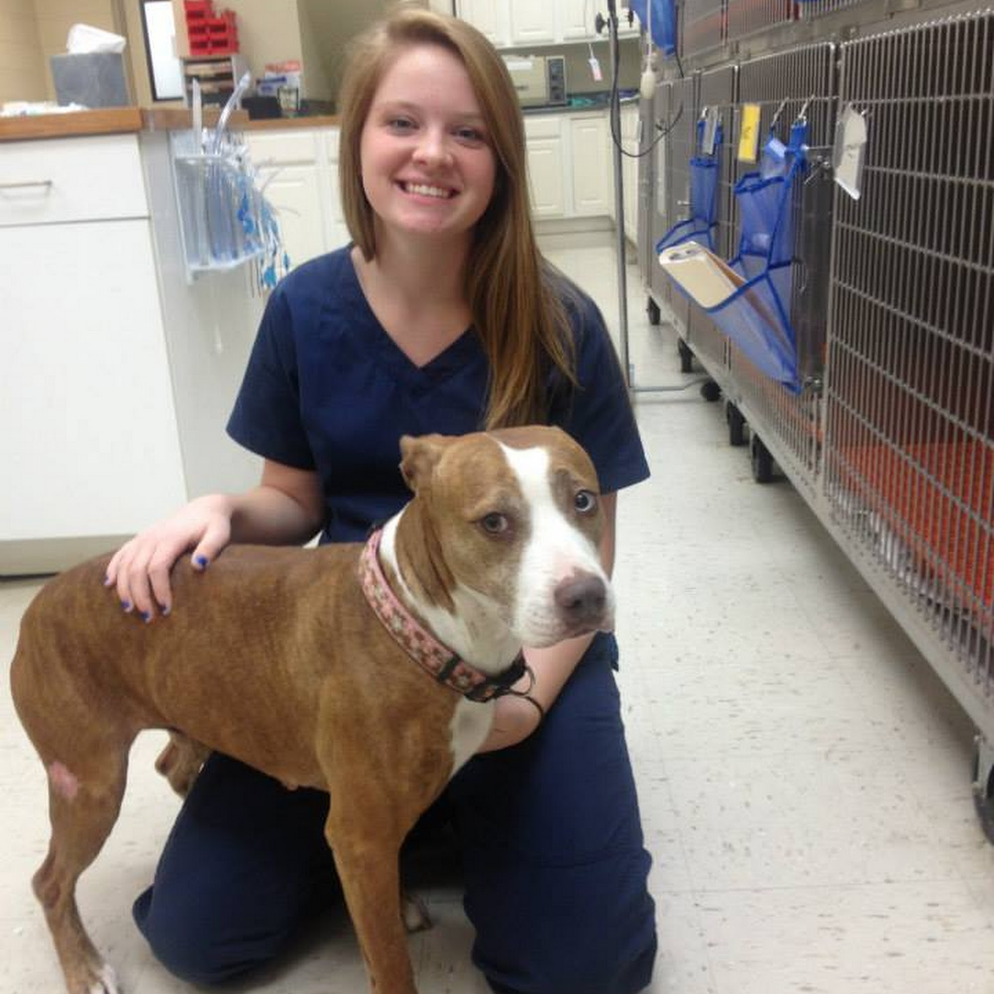 Barfield Animal Hospital Murfreesboro