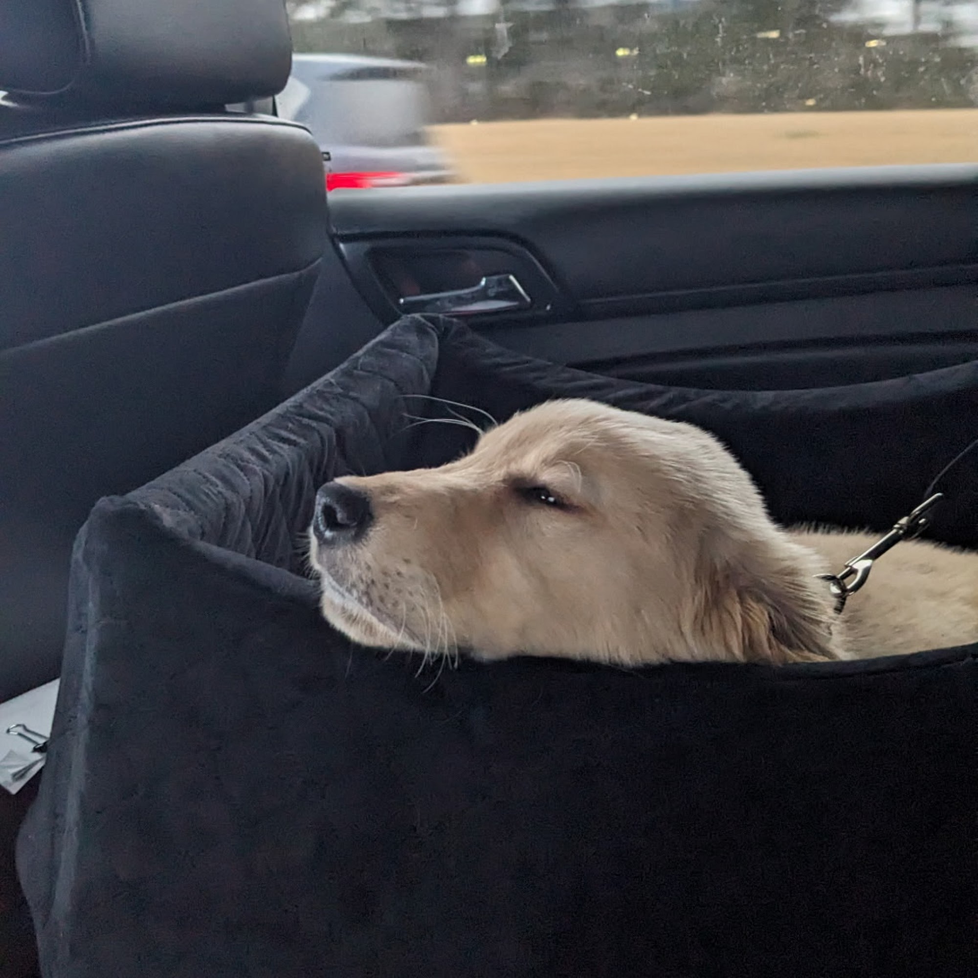 Animal Care Veterinary Hospital Murfreesboro