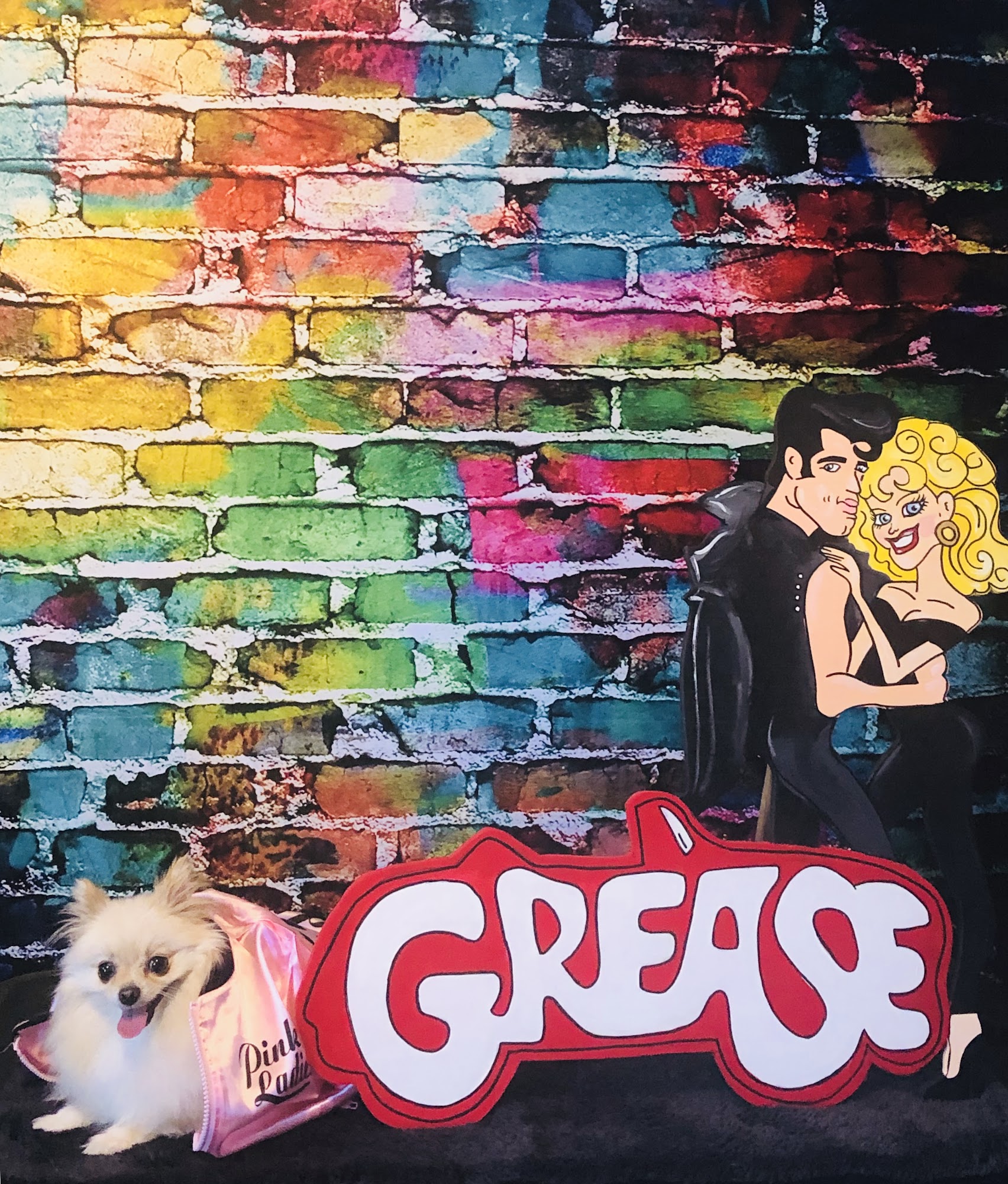 Pampered Lil Paws Murfreesboro