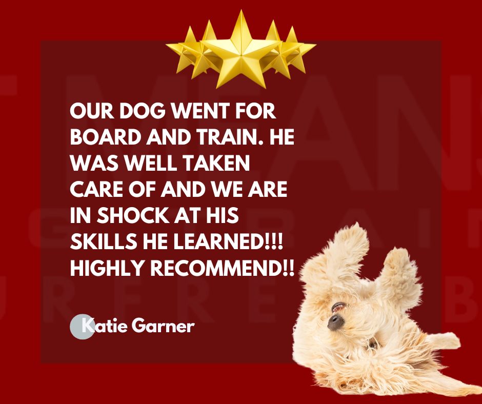 Sit Means Sit Dog Training - Middle Tennessee Murfreesboro