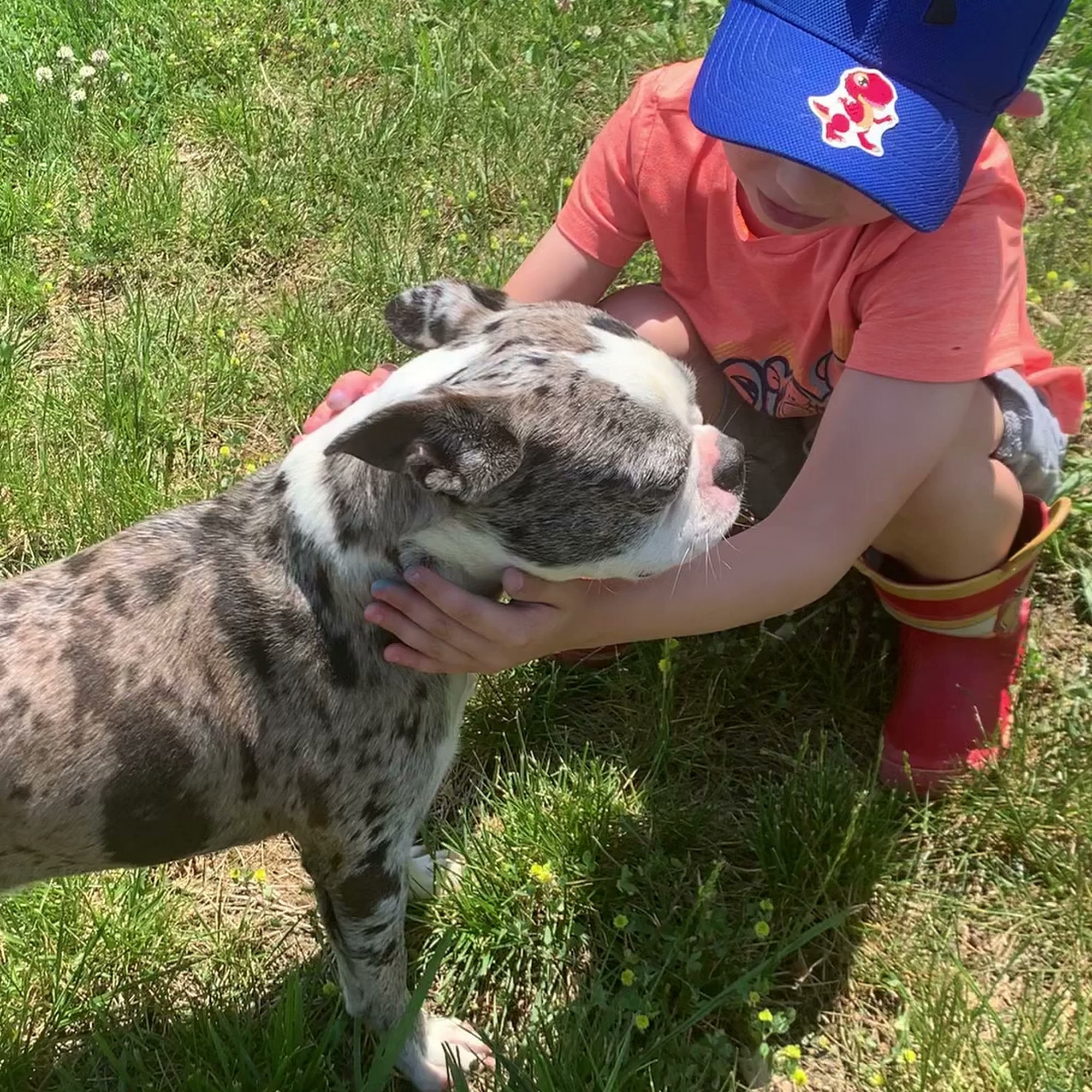 Kodas Playhouse Murfreesboro