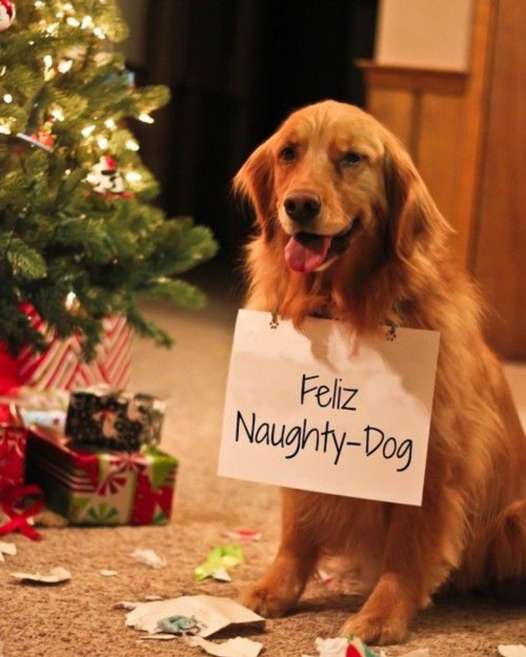 Off Leash K9 Training Tennessee Murfreesboro