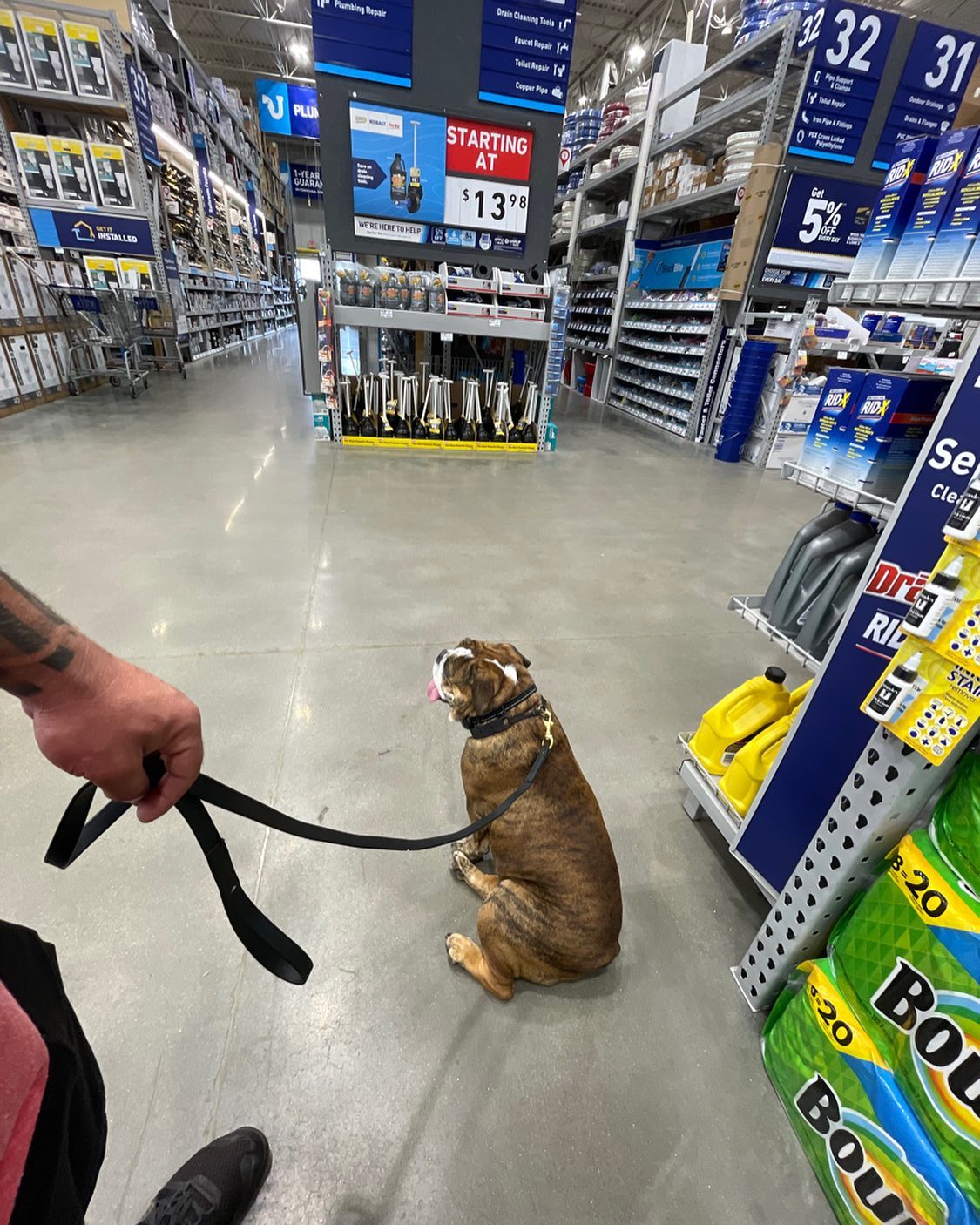 Kobra K9 Murfreesboro